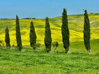 Chianciano è… strategica!