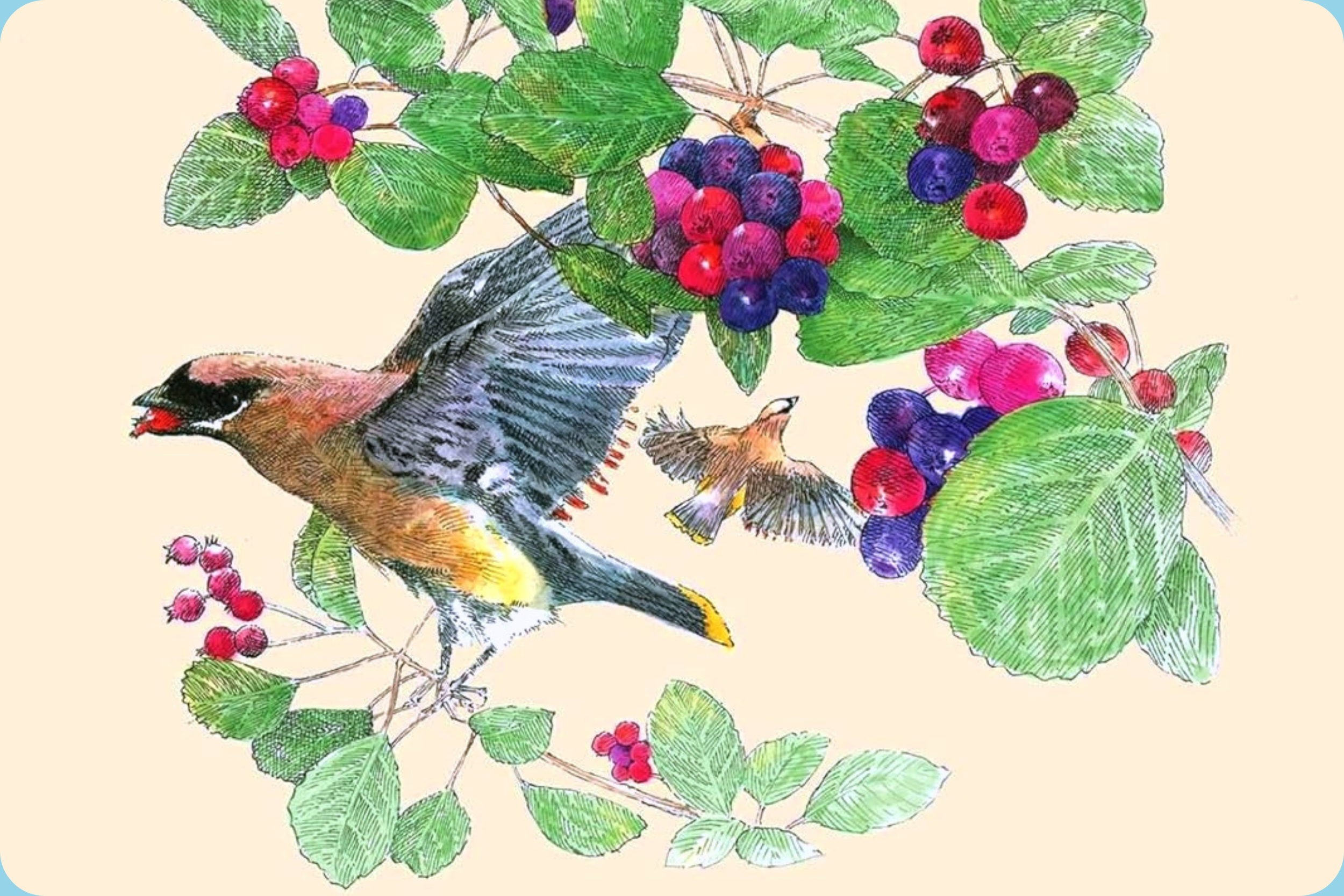 The Serviceberry: An Economy of Abundance