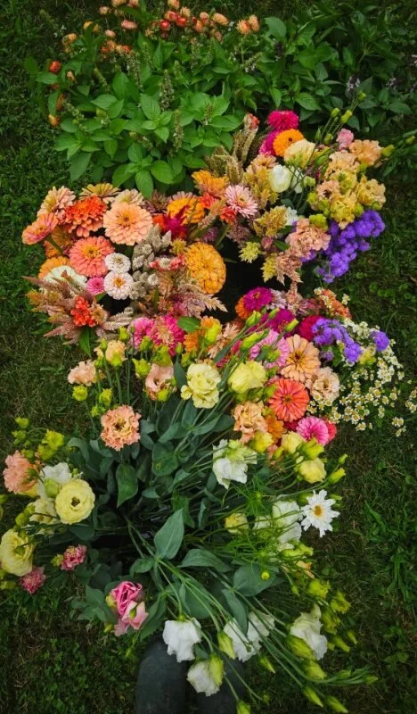 Petals and Plates Workshop