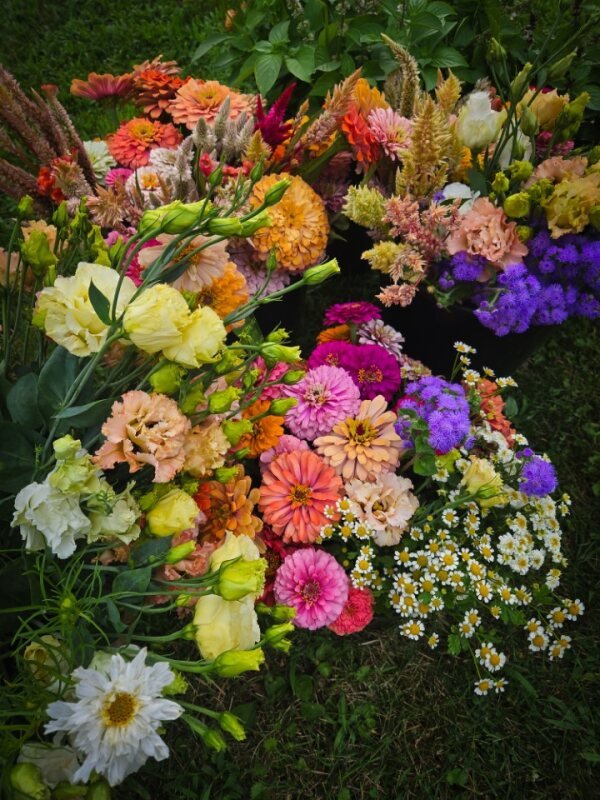Colorful mixed flowers including zinnias, daisies, and carnations arranged outdoors.