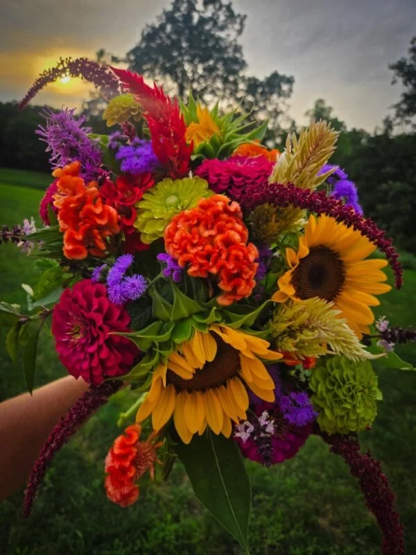 Colorful bouquet with sunflowers, marigolds, and other vibrant flowers held outdoors during sunset.