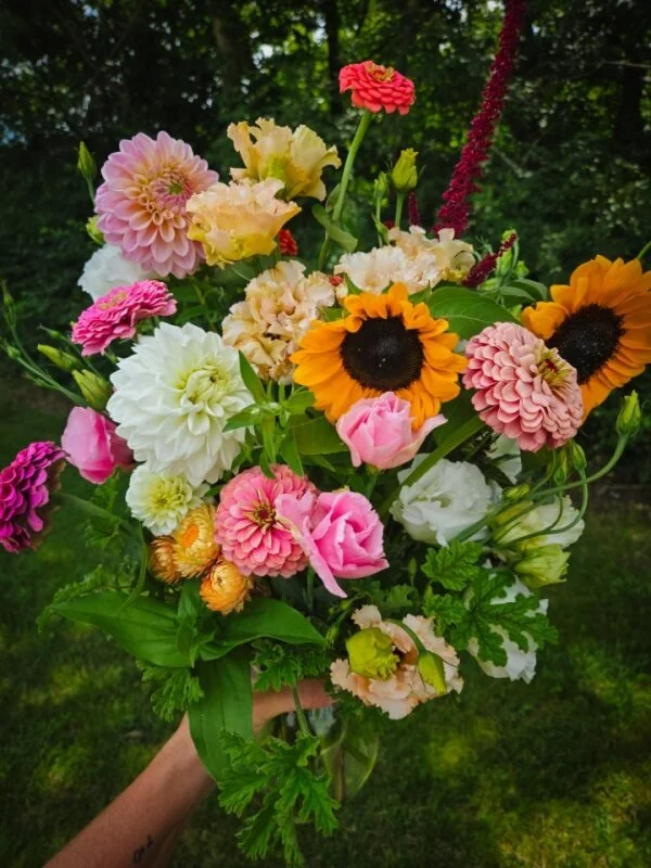 Colorful bouquet of various flowers including sunflowers, dahlias, roses, zinnias, and other blooms, held outdoors with a green, leafy background.