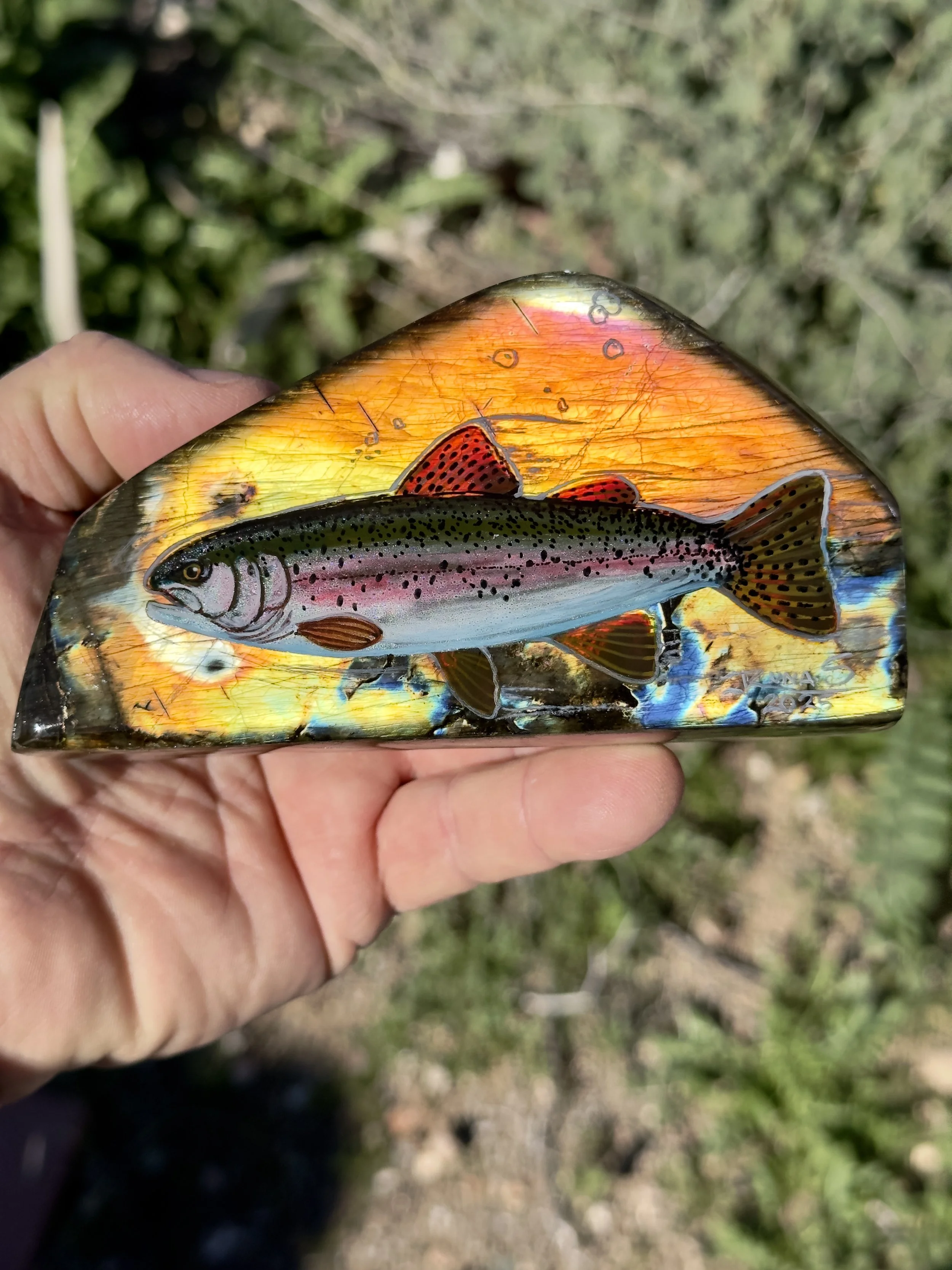 Rainbow Trout on labradorite 