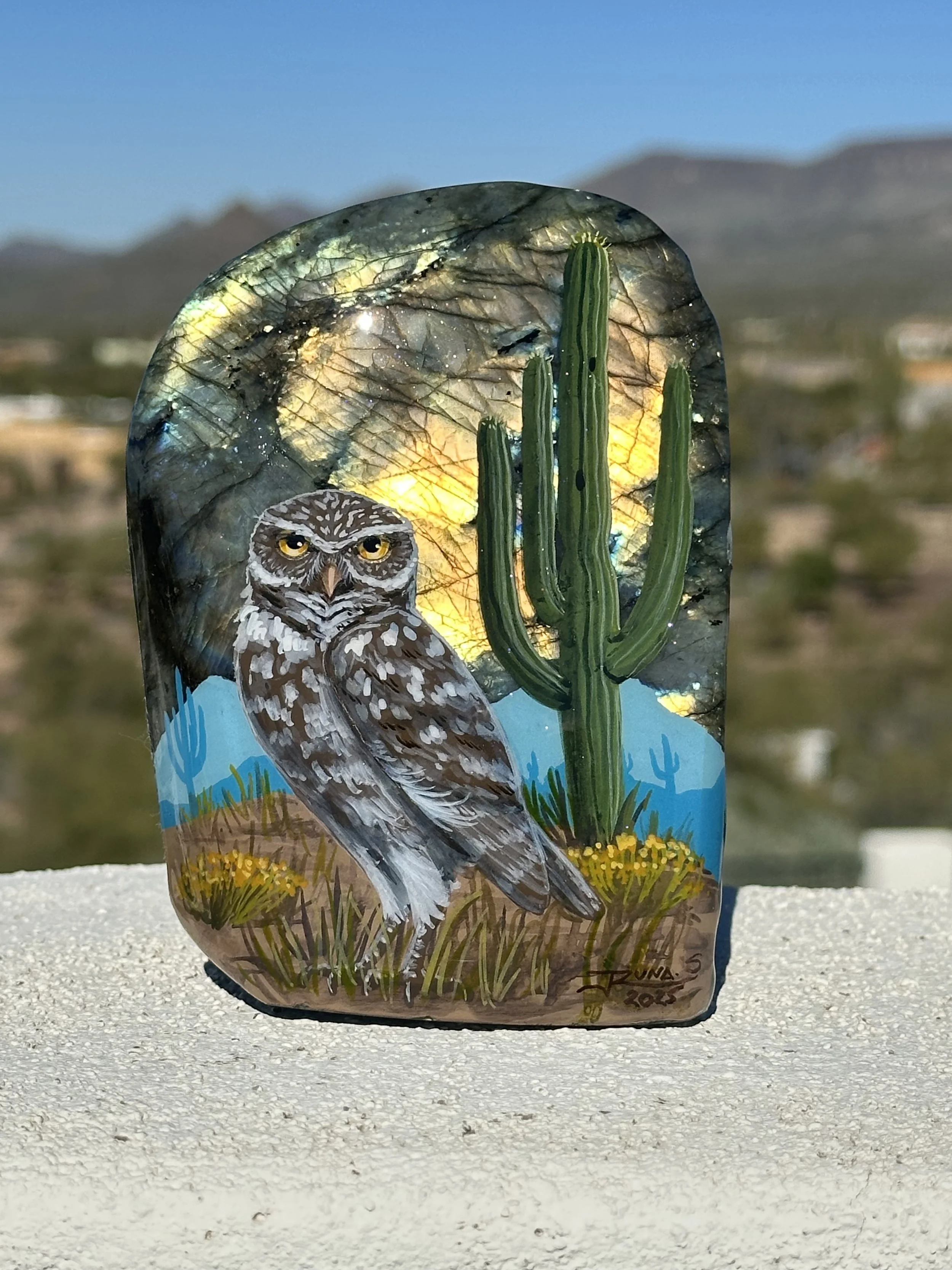 Burrowing Owl on labradorite