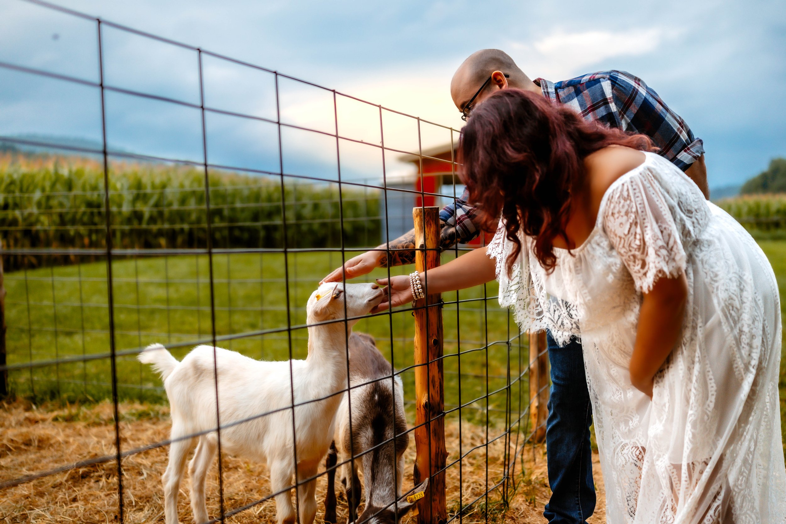A woman and a man petting goats through a farm fence in the evening.