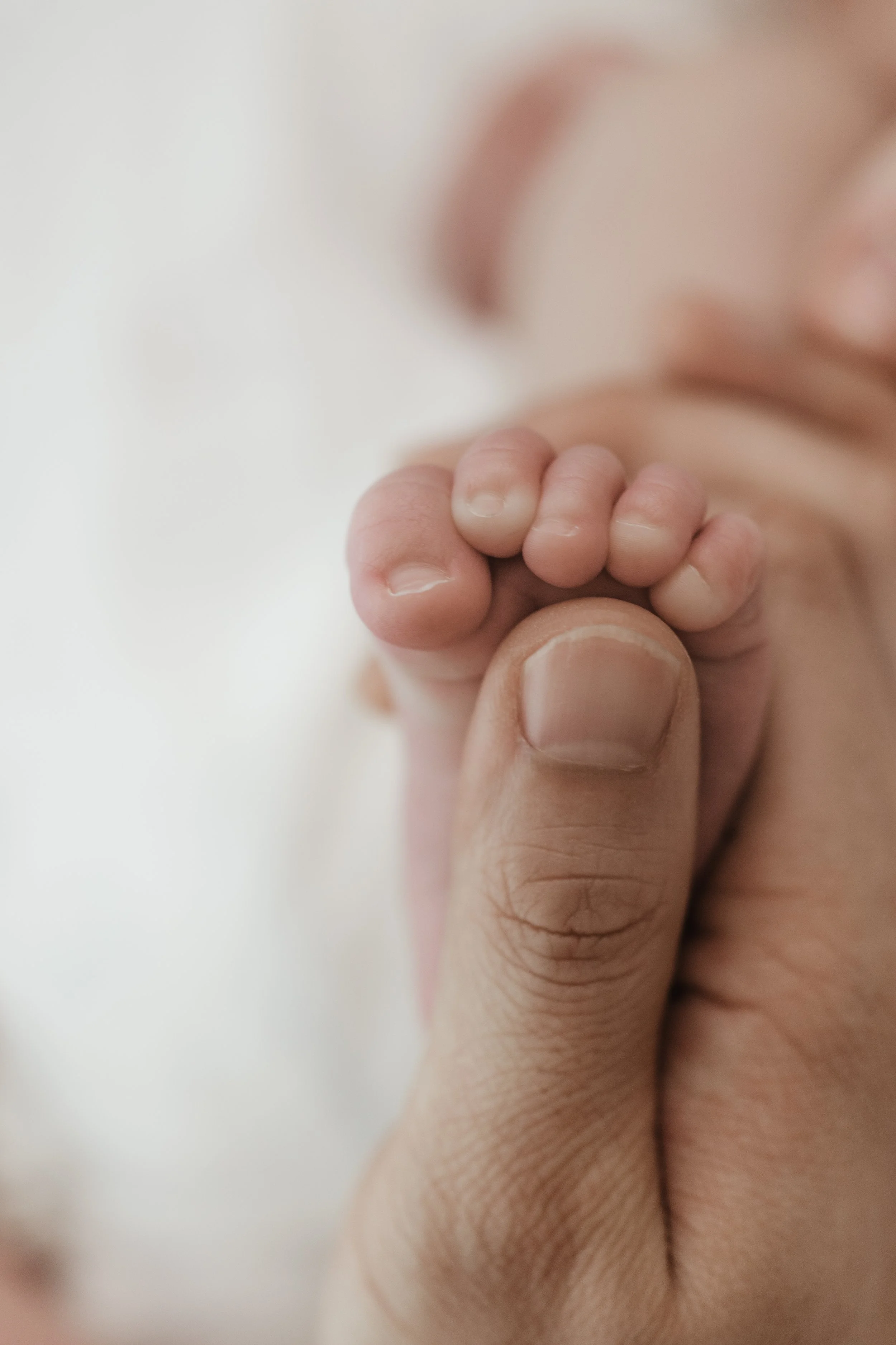 Sora_bearbeitet Folgenummer (1)-38-2.jpg