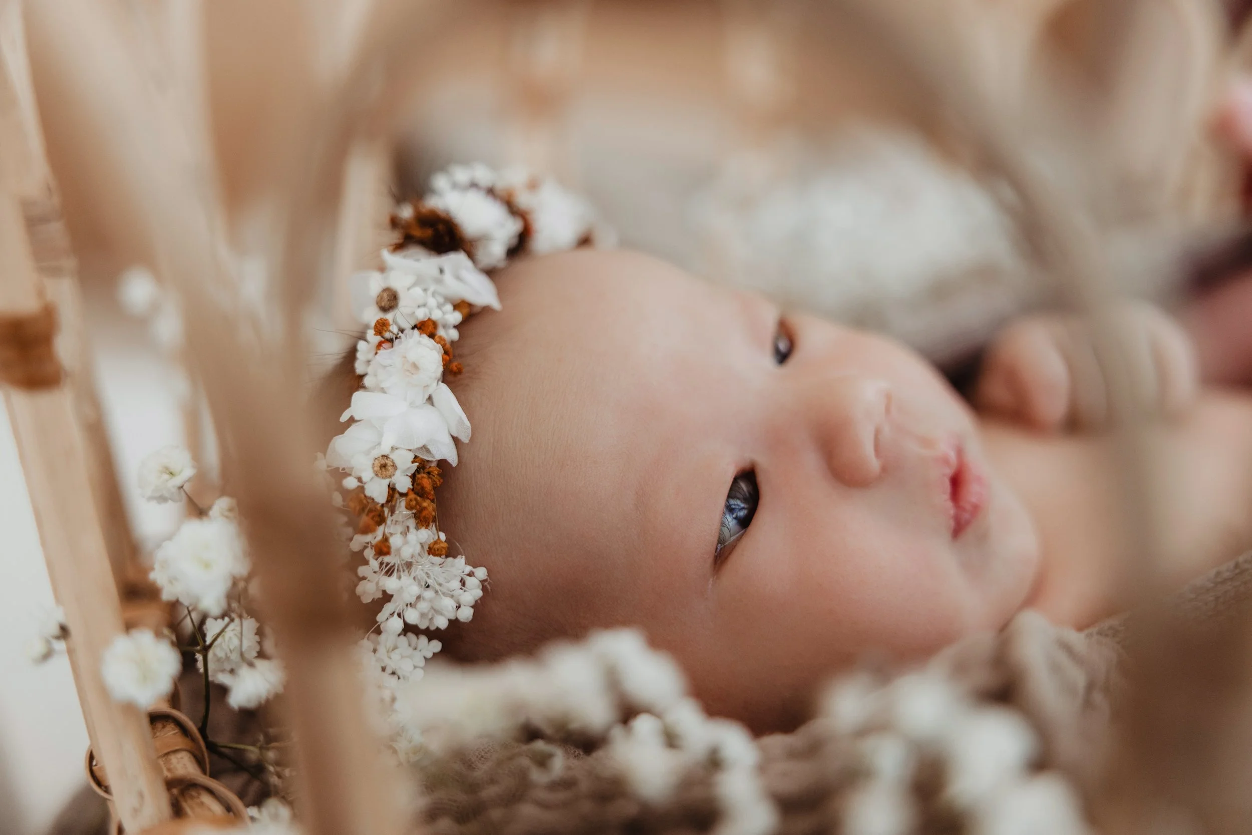 Sora_bearbeitet Folgenummer (1)-31-2.jpg