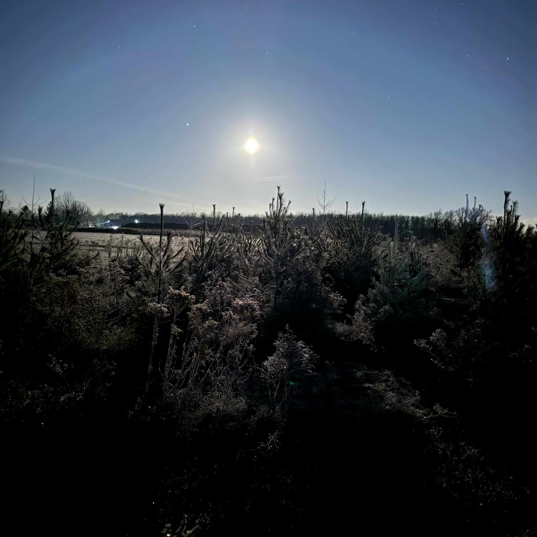 IMG_0629.png