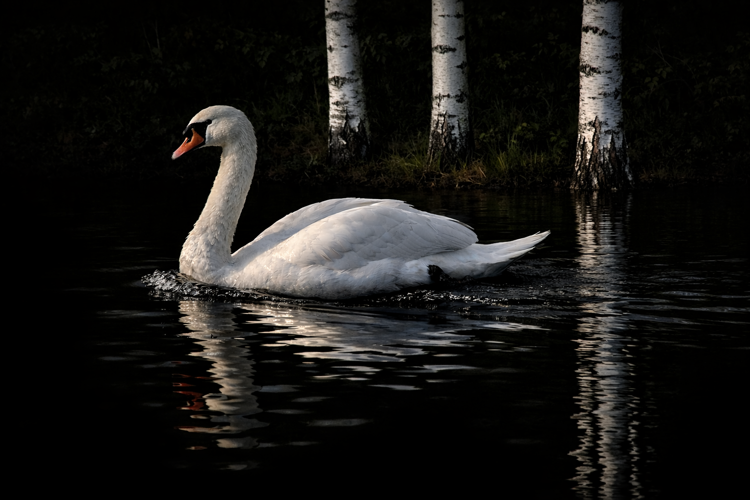 swan painting.png