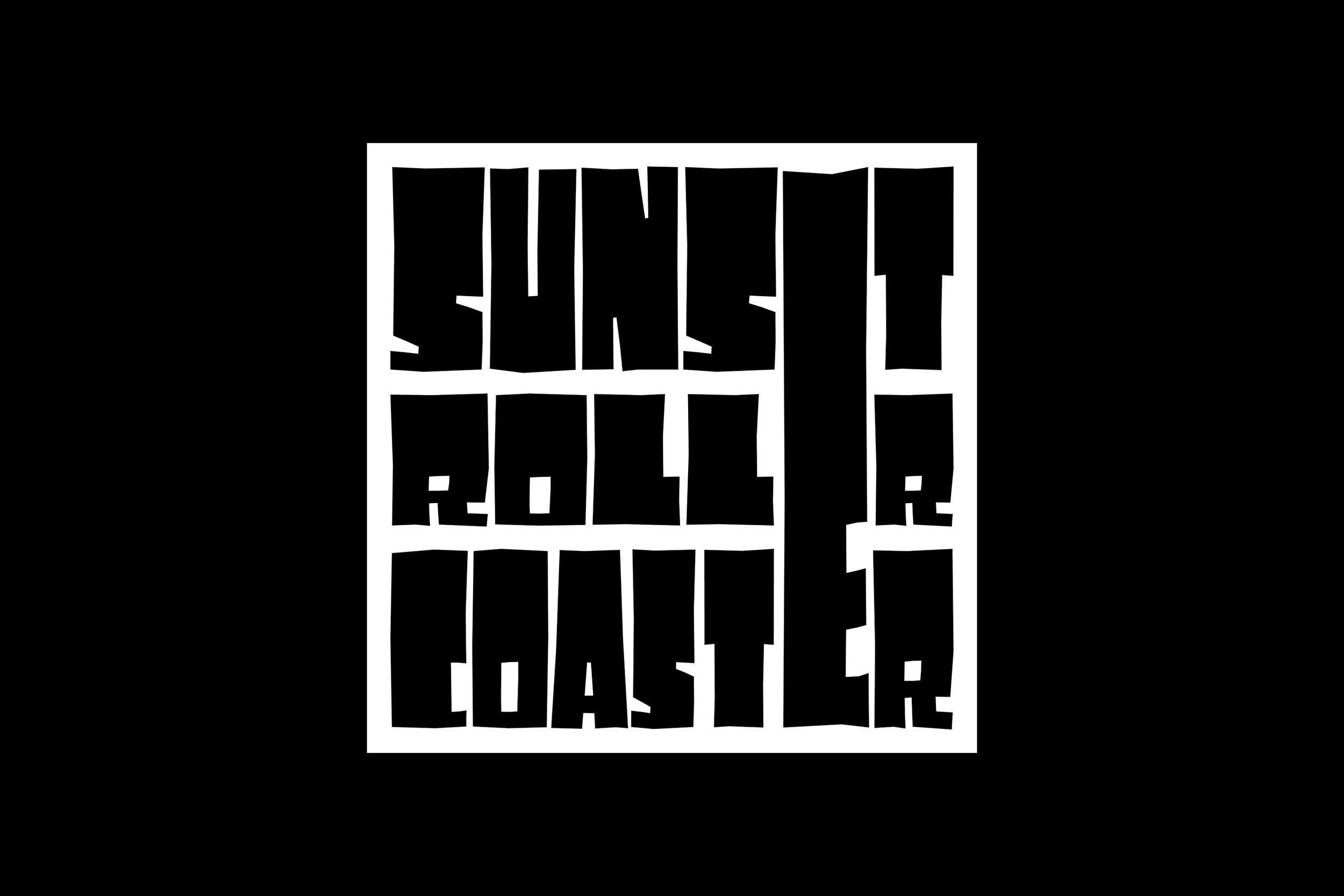 Sunset Rollercoaster vinyl book