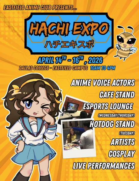 Hachi Expo