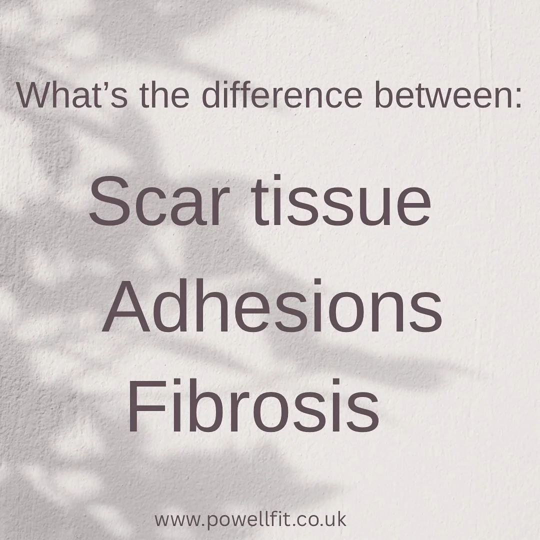 ✨ SCAR TISSUE &bull; ADHESIONS &bull; FIBROSIS ✨

What&rsquo;s the difference?👇

💫 Scar Tissue
This is your body&rsquo;s natural repair response after an injury or surgery. New collagen forms to close and strengthen the wound &mdash; for example, a