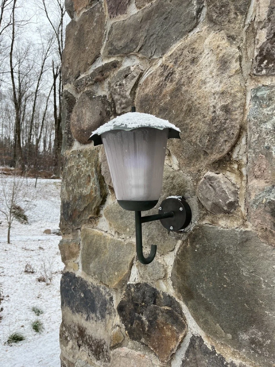 IMG_4439 3 Large.jpeg