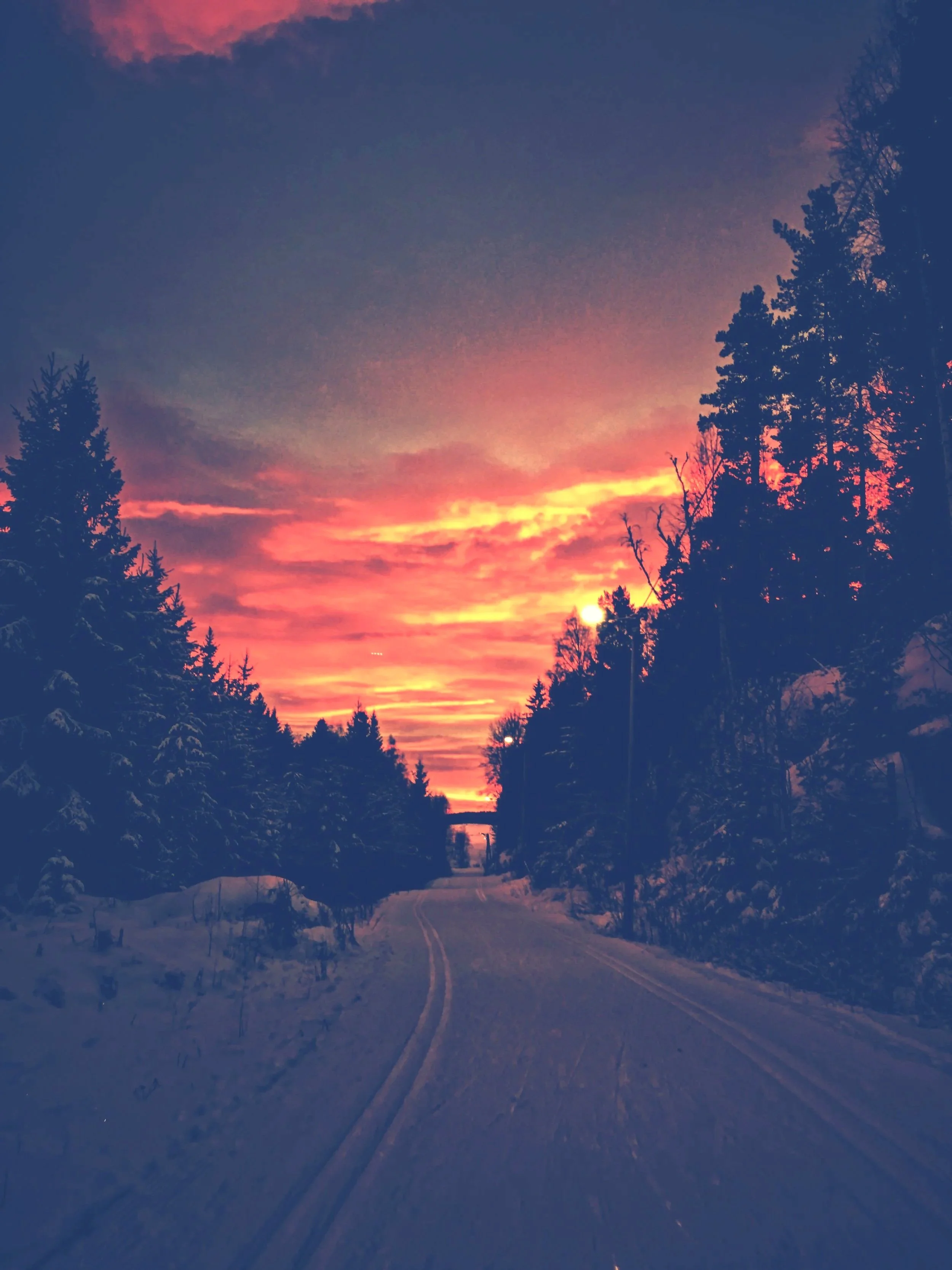 Meningen med Jul og vinter