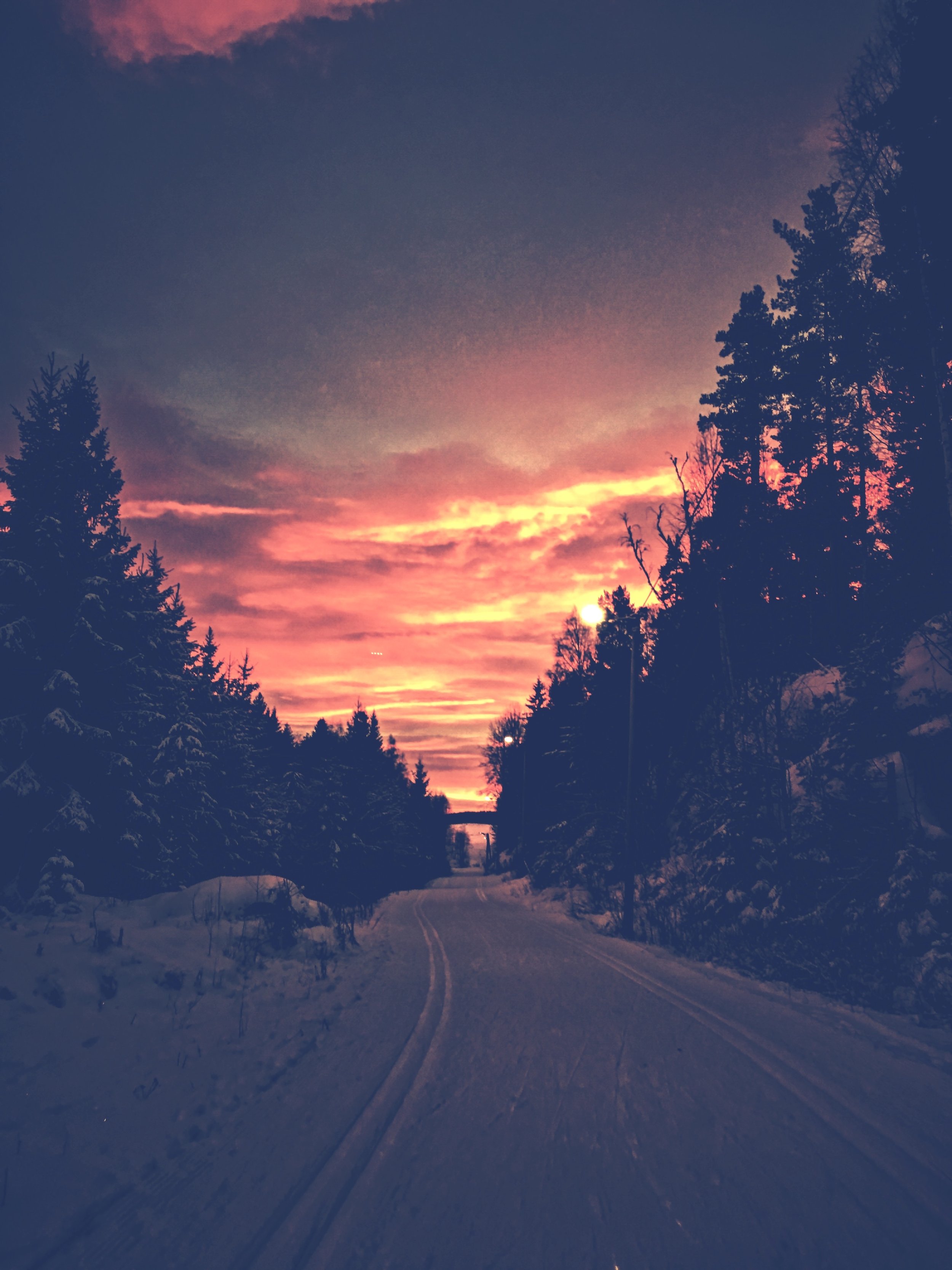 Meningen med jul og vinter