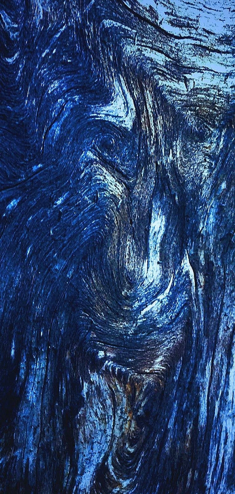 Absktrakt bilde av treverk i blåtoner som ligner en kvinne eller en gammel mann