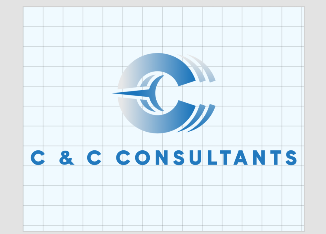 C &amp; C CONSULTANTS LLC