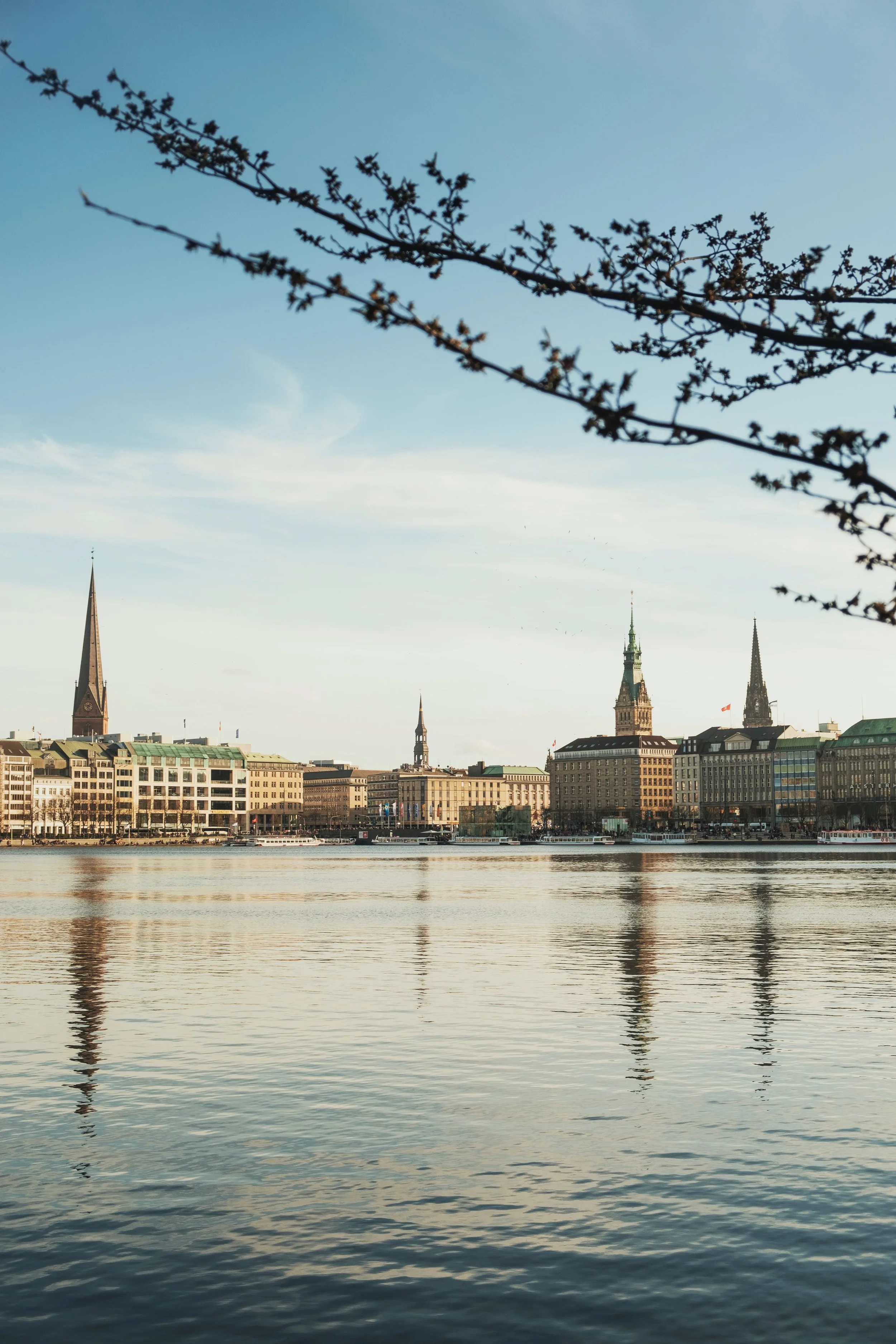 Stadssiluett med kyrktorn och vattenreflektion, ett träd med kvistar i förgrunden
