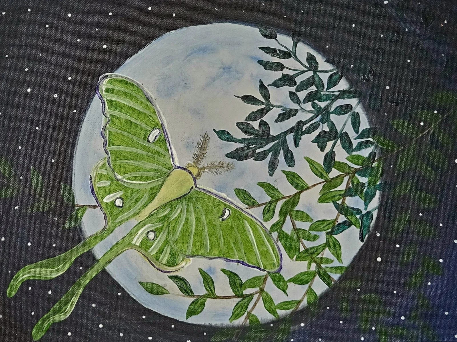 Luna Moth