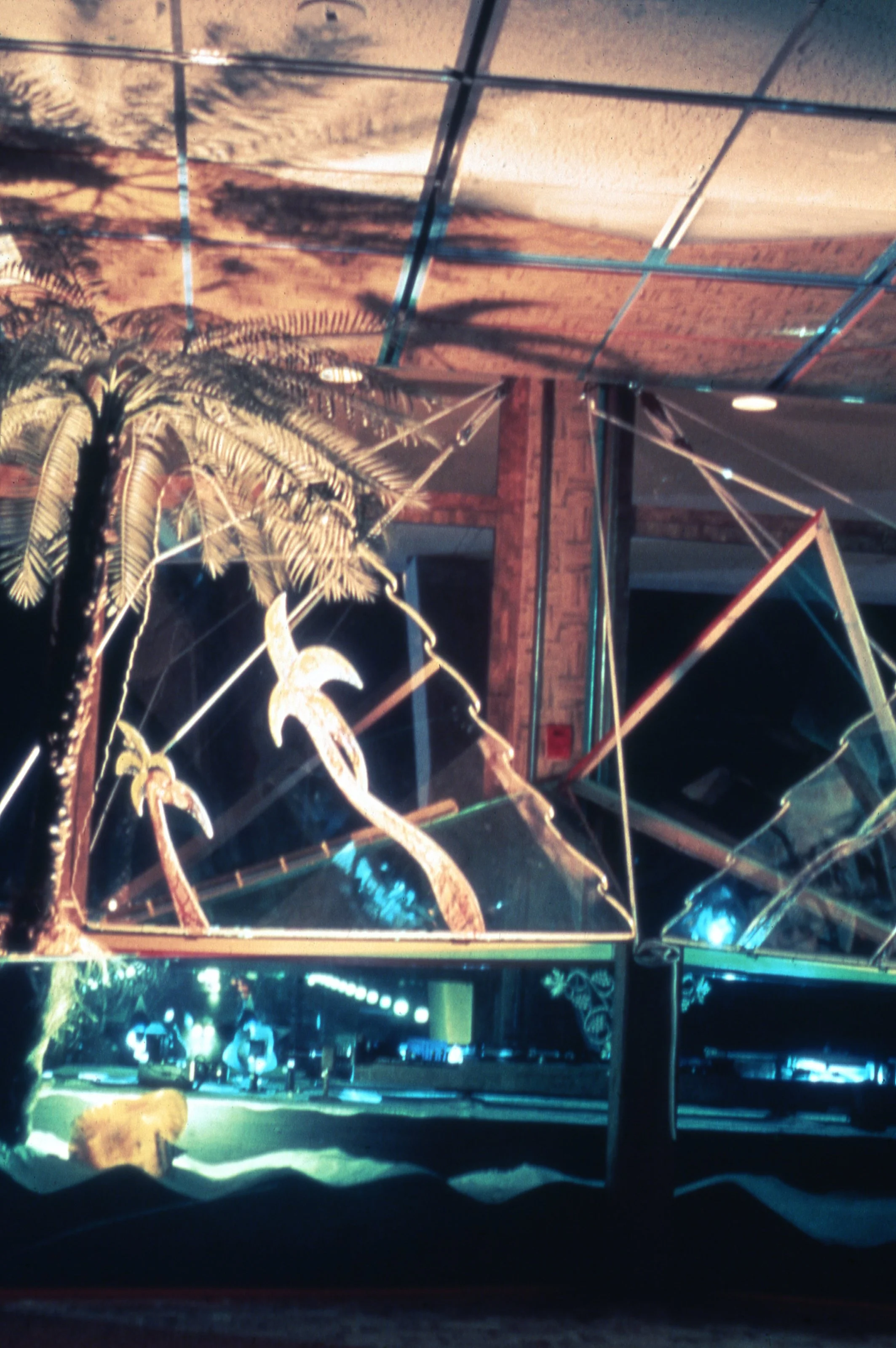 1975 The Laser St. Pete.706.edit.jpg
