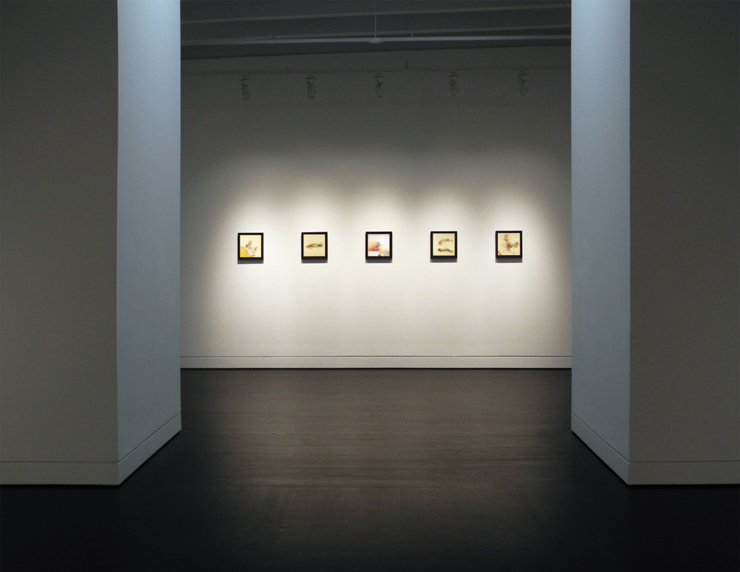 Rockne Krebs: The Smoke Drawings, 2016, Hemphill Artworks, Washington, DC.
Photo courtesy of Hemphill Artworks, Washington, DC.