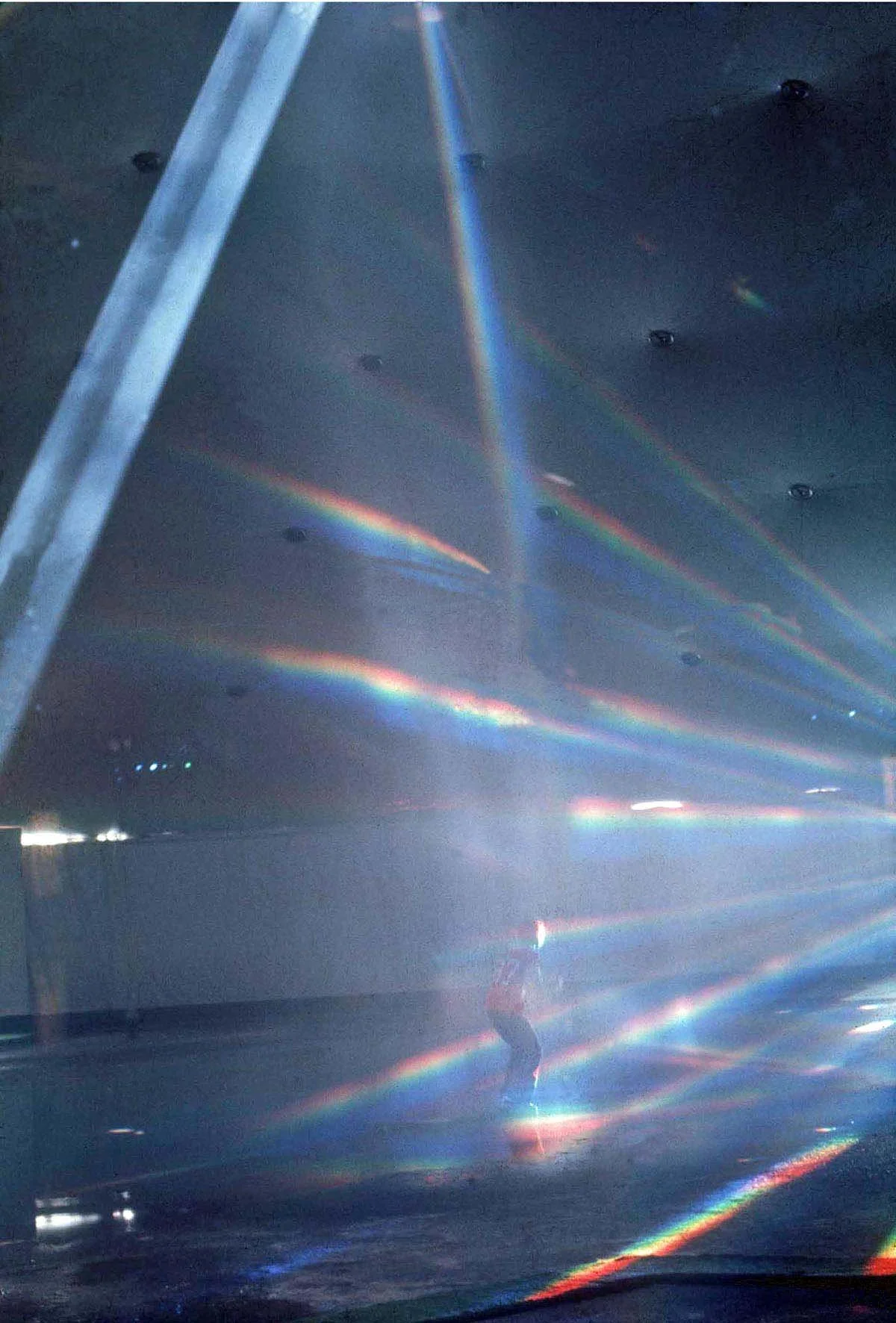 HomePage Sun Dog.jpg