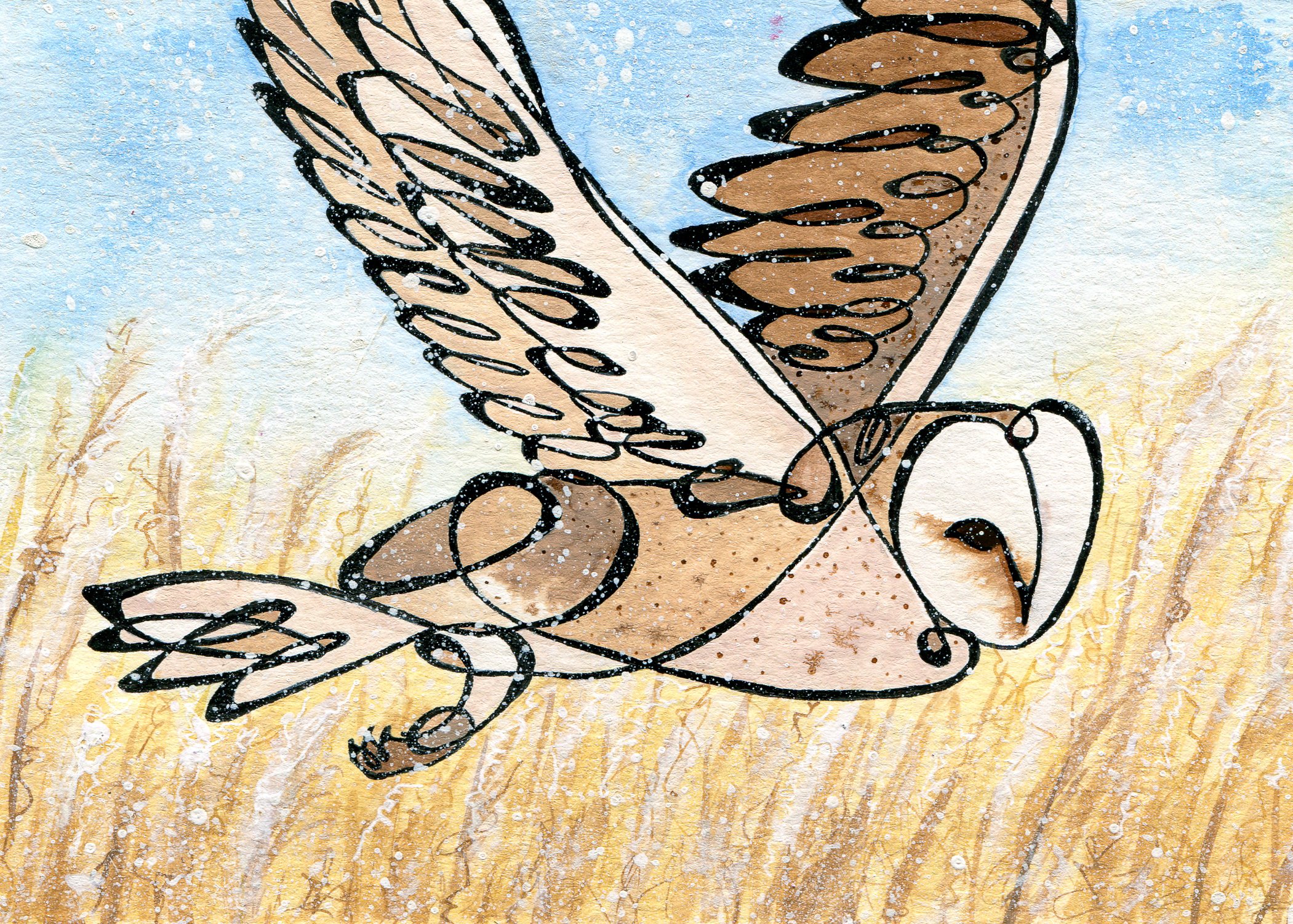 Winter Barn Owl.jpg