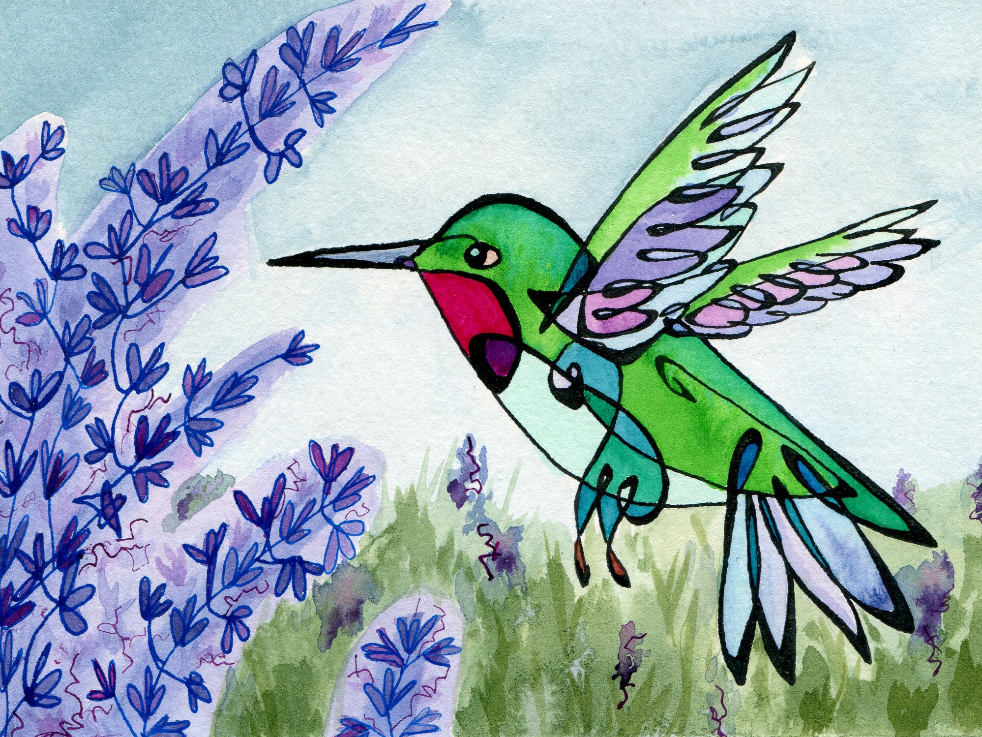 Hummingbird.jpg