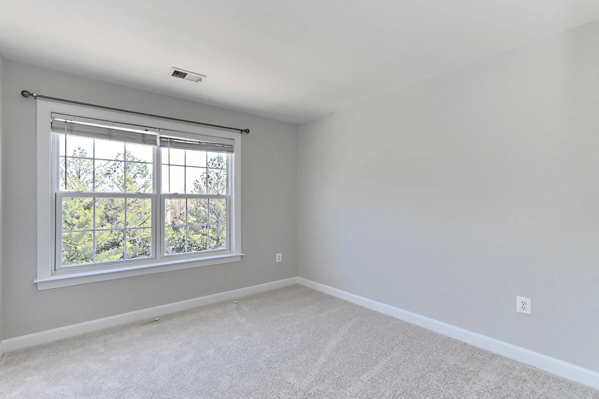 Empty room with light gray walls, beige carpet, and a large window with blinds showing trees outside.