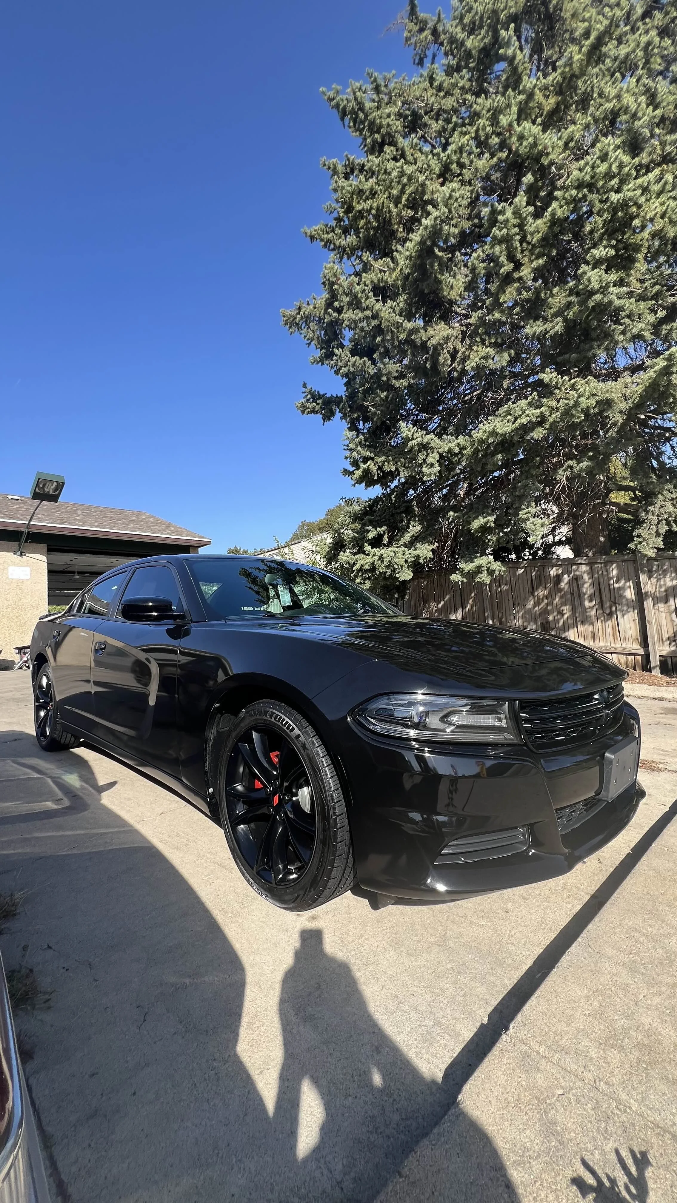 Dodge Charger Wash and Wax