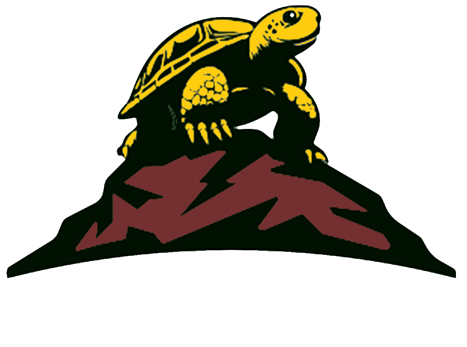 Turtle Rock Ebikes - Service and Sales  Hereford, Maryland