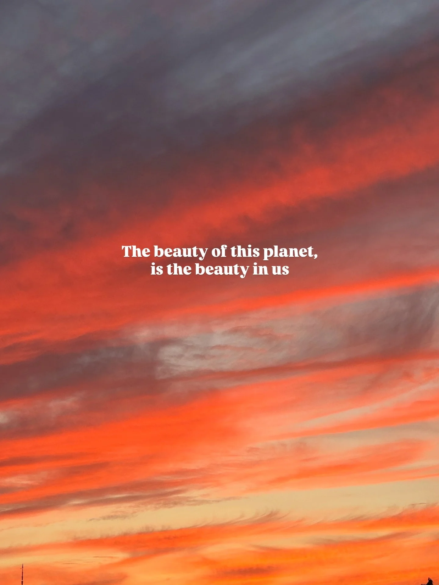 I love the way our experiences are reflected in nature. Reminding me where I come from, where I belong, and where I&rsquo;ll return to. Reminding me that birth is a natural part of life, and that we are all connected through this.