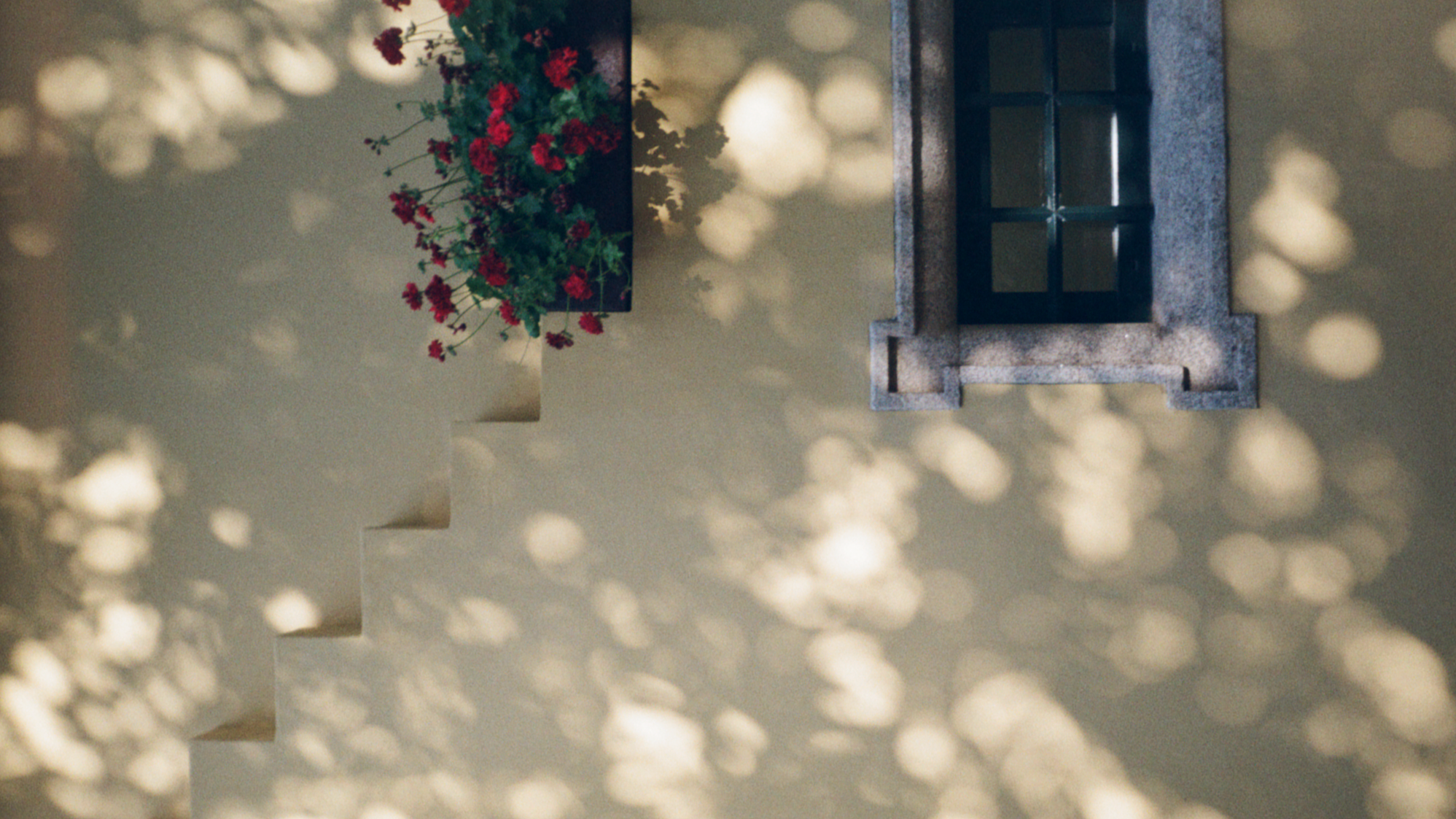 Screenshot%2B2026-08-19%2Bat%2B14.58.25.png