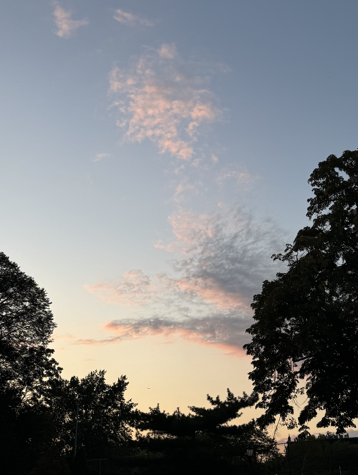 Sky with pink clouds during sunset or sunrise, silhouettes of trees on the horizon.
