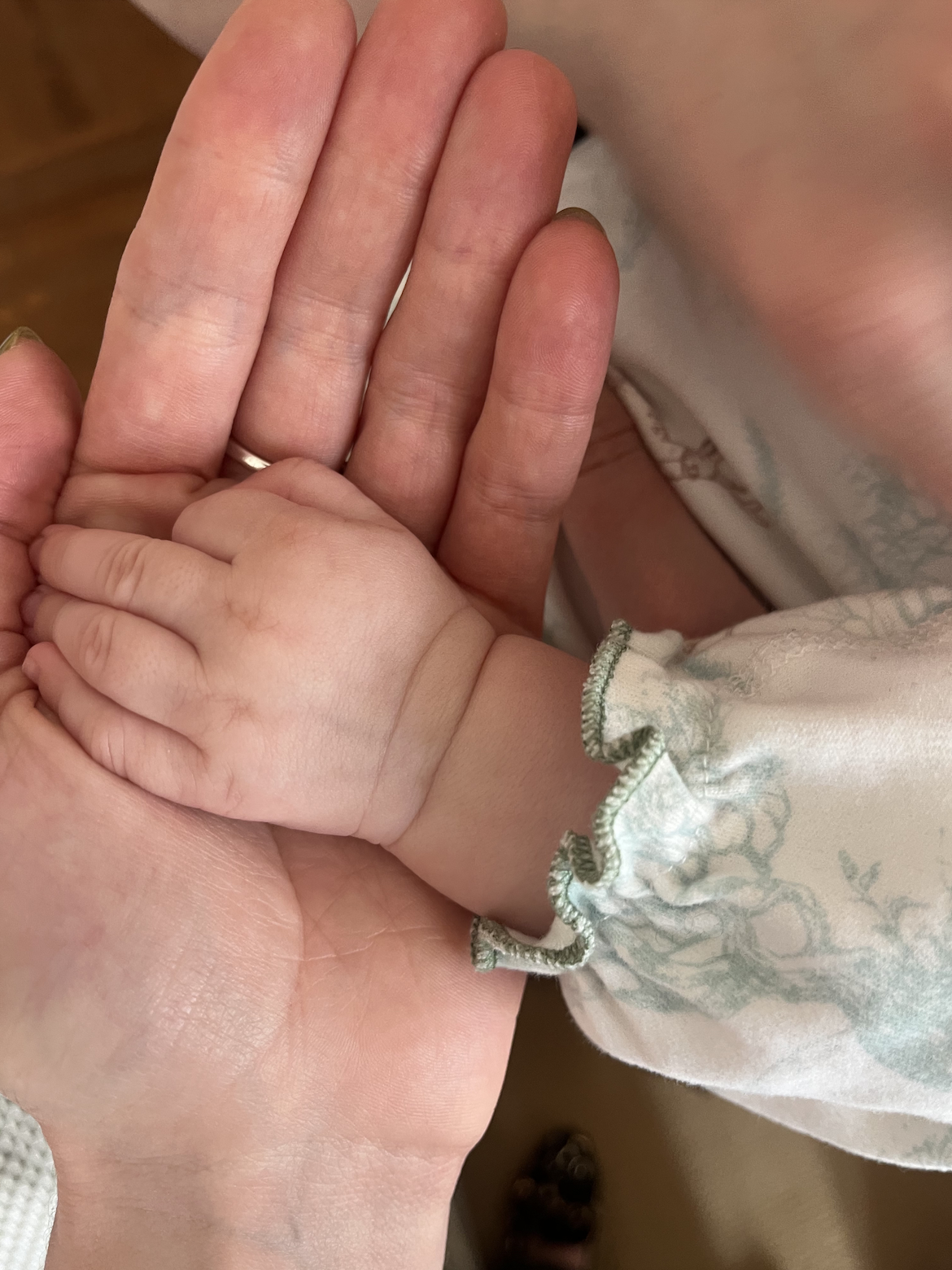 An adult's hand holding a baby's hand.