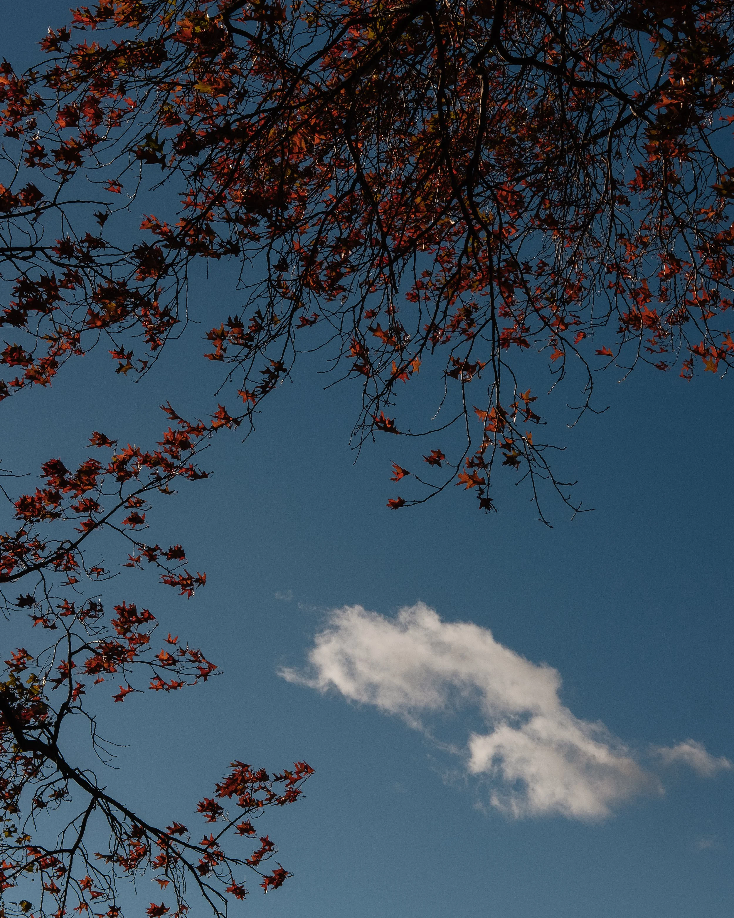 DSCF1416.jpg