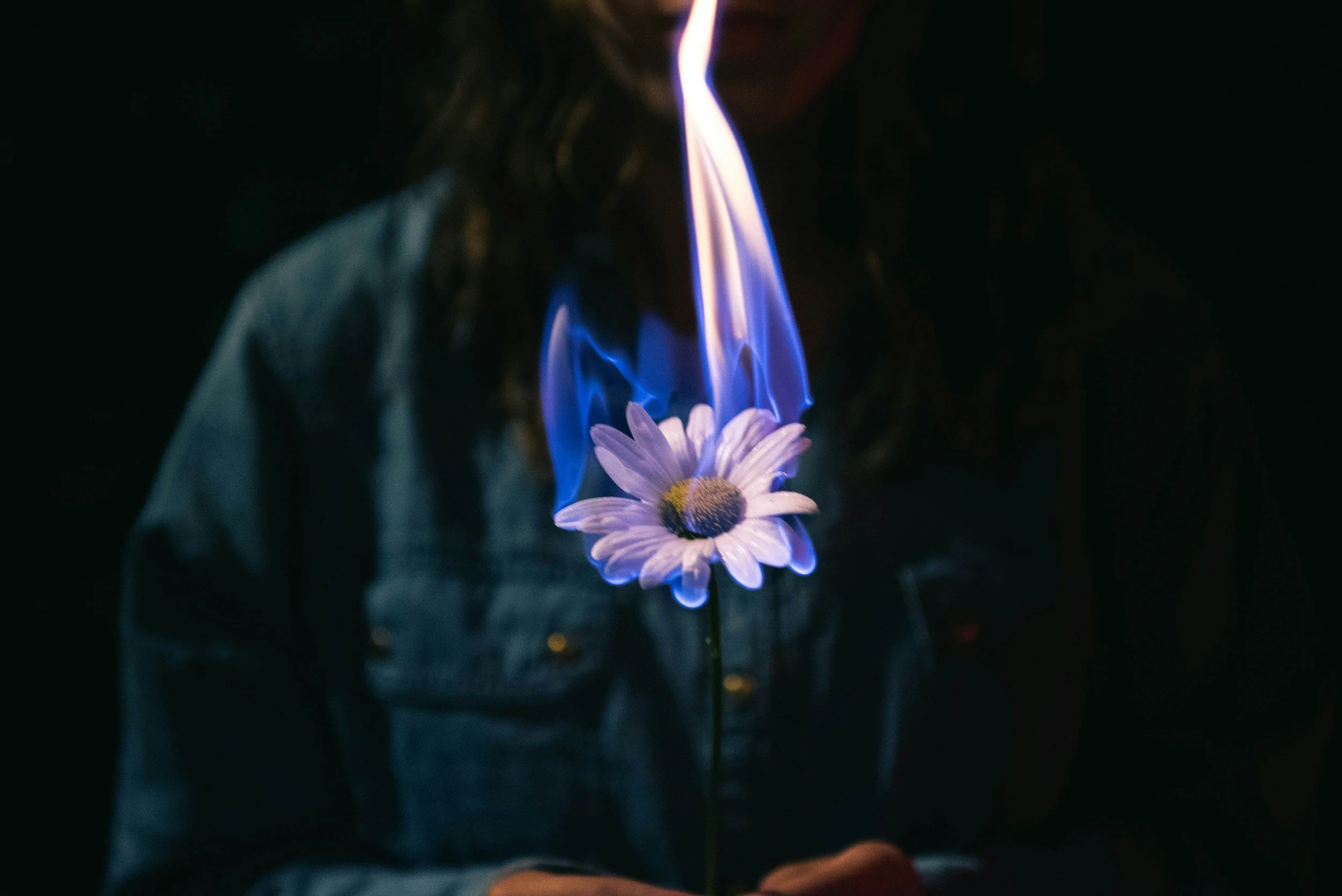 The Witches Who Refuse to Burn