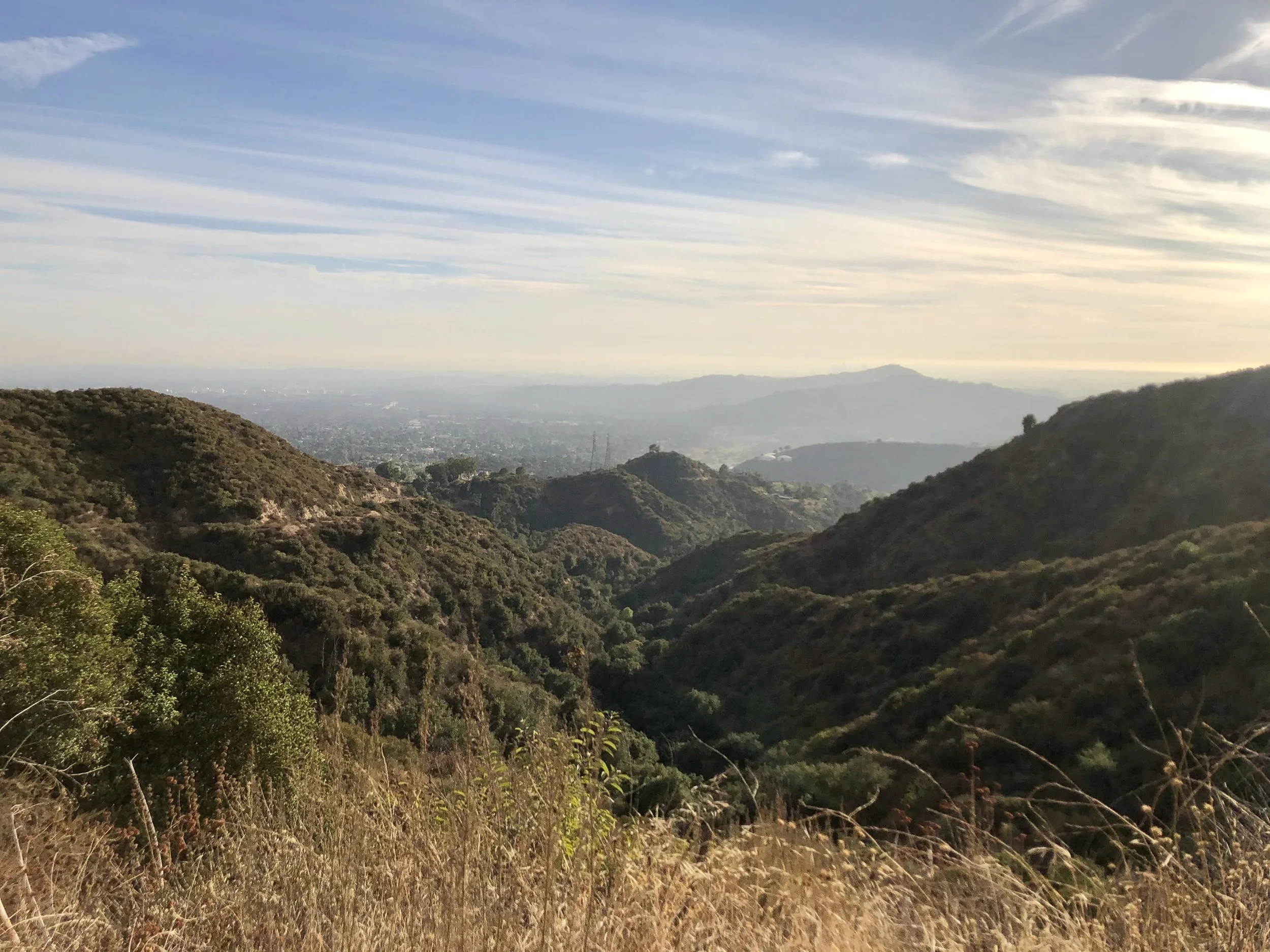 The Foothill Catalog Foundation