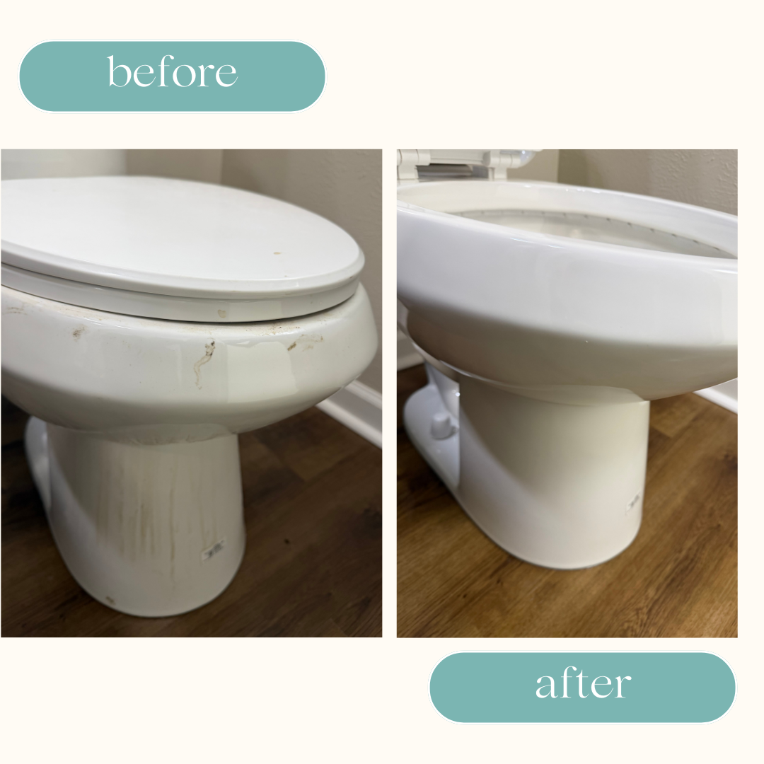 before and after toilet cleaning business colorado front range