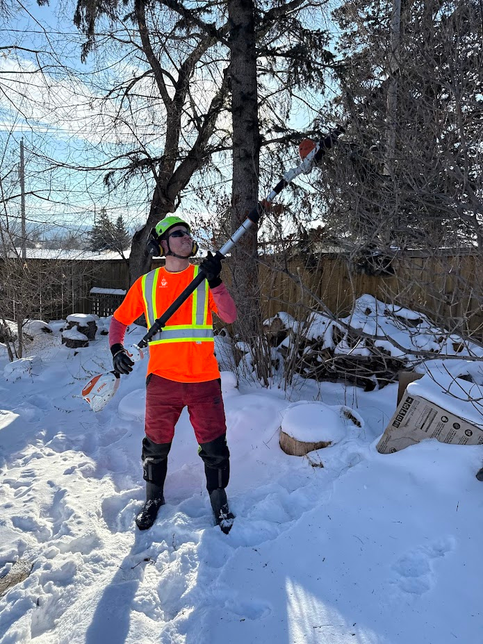 Arborista | Professional Tree Pruning & Removal in Calgary