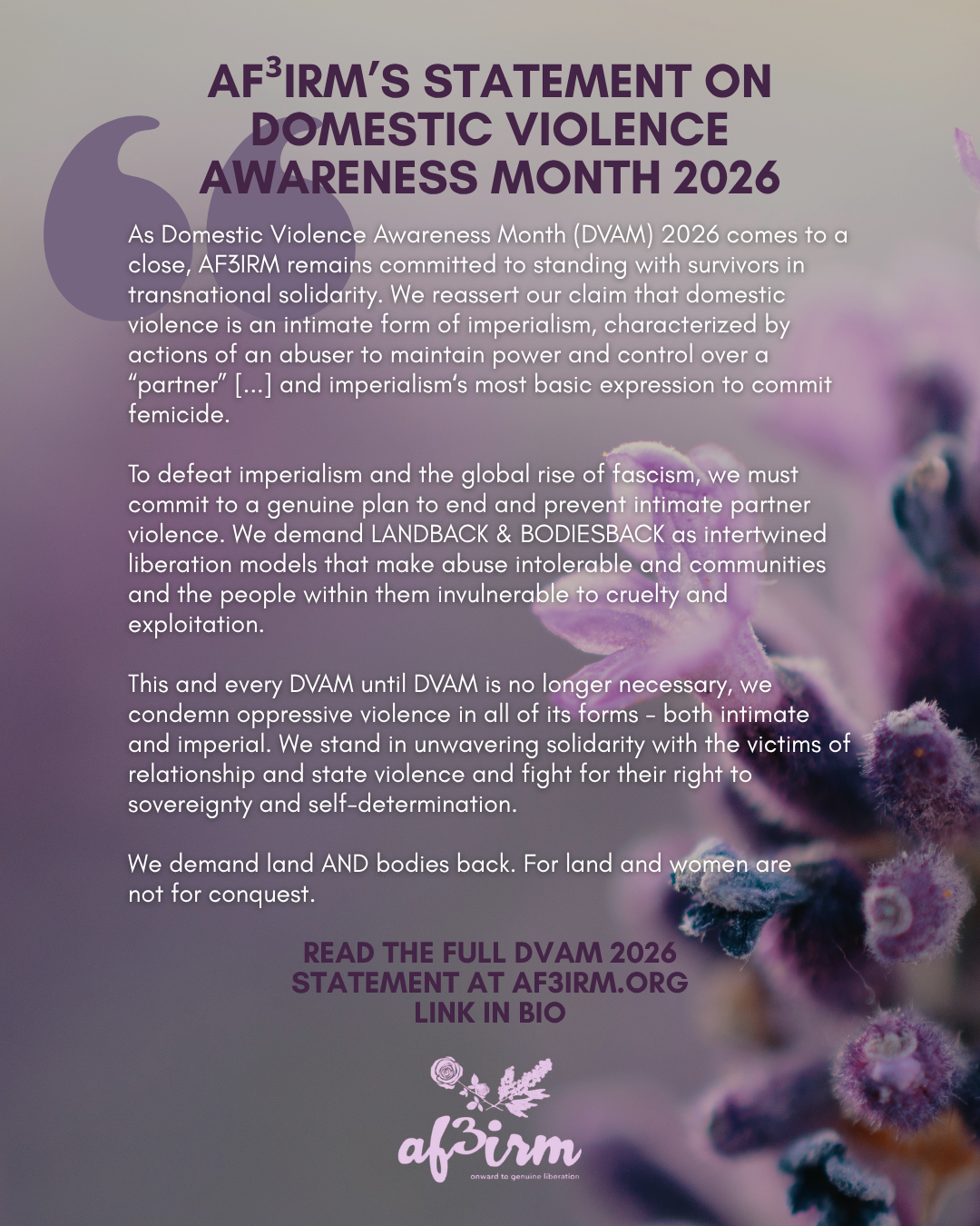 Copy of 2026 dvam af3irm.png