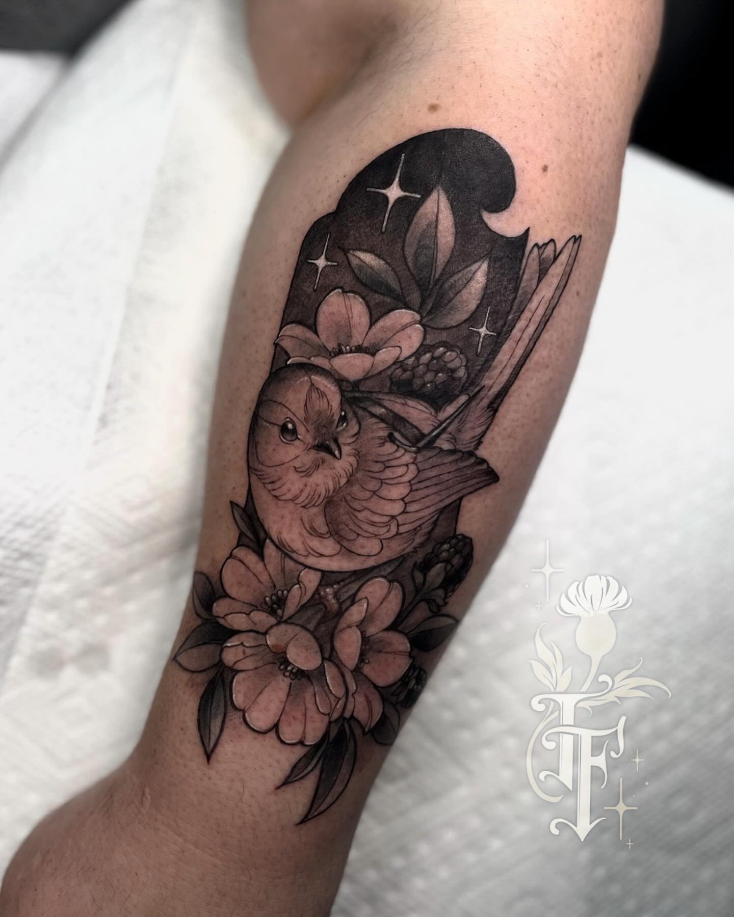 A lethal cutie for Megan! 🗡️ ✨ from my designs but added a small dagger. I would love to do more adventure animals or birds! &bull;
&bull;
&bull;
#ohioartist #ohiotattooartist #neotraditional #illustrativetattoo #neoromantic #neotraditionaltattoo #n
