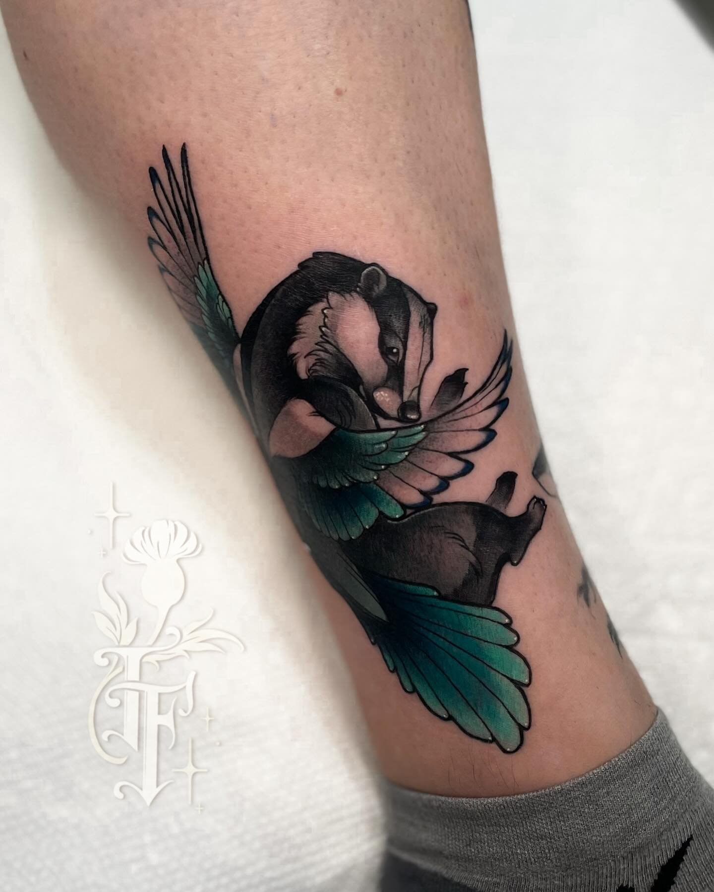English badger magpie for Martin! ✨this was so much fun. We collaborated on a few creatures for this and a few other designs. Thanks for looking. 
&bull;
&bull;
&bull;
#ohioartist #ohiotattooartist #neotraditional #illustrativetattoo #neoromantic #ne