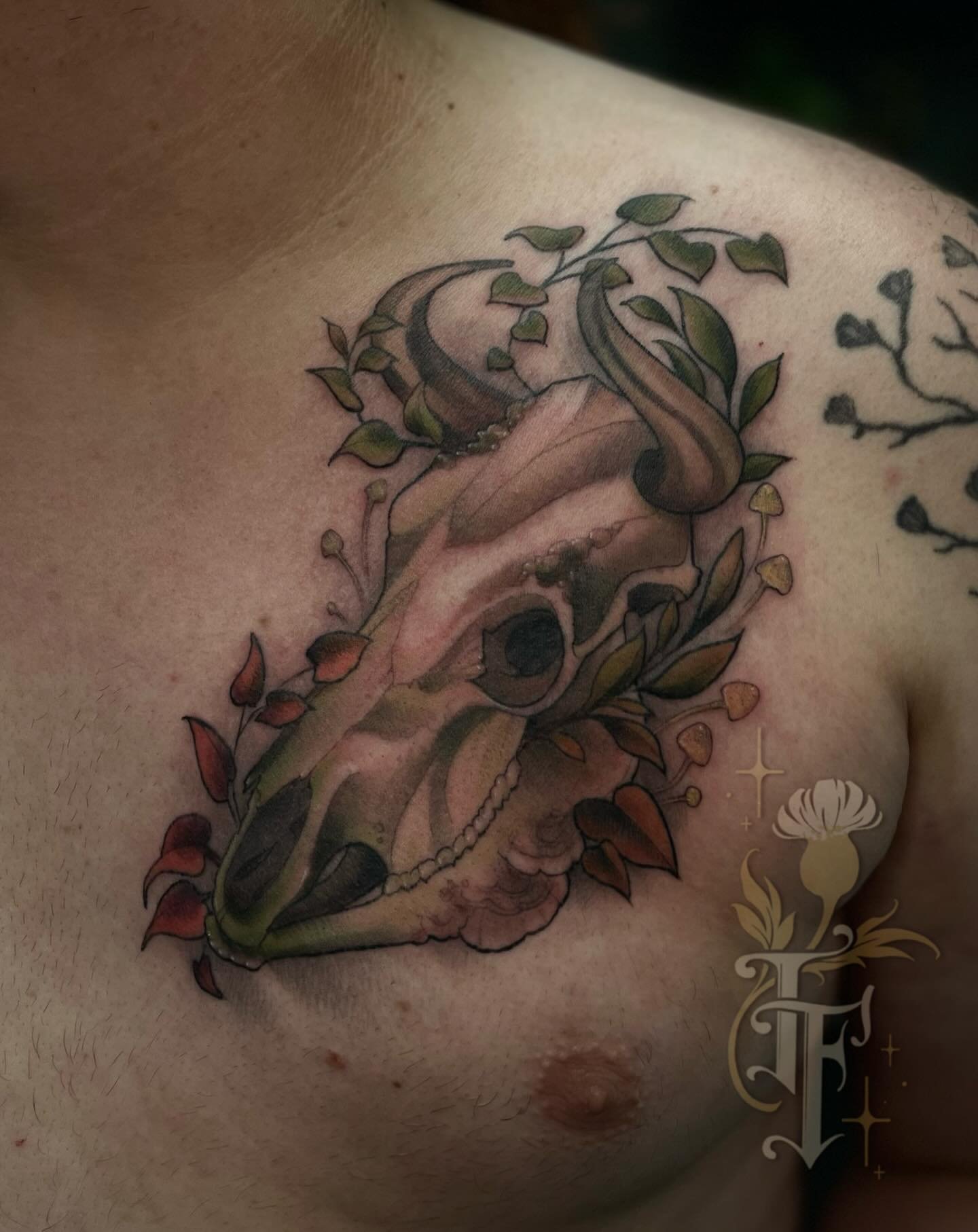 Bull skull for Alex inspired by the work of Ellen Jewett ✨ lines are healed and the color is fresh. 
&bull;
&bull;
&bull;
#ohioartist #ohiotattooartist #neotraditional #illustrativetattoo #neoromantic #neotraditionaltattoo #neoromantictattoo  #artnou