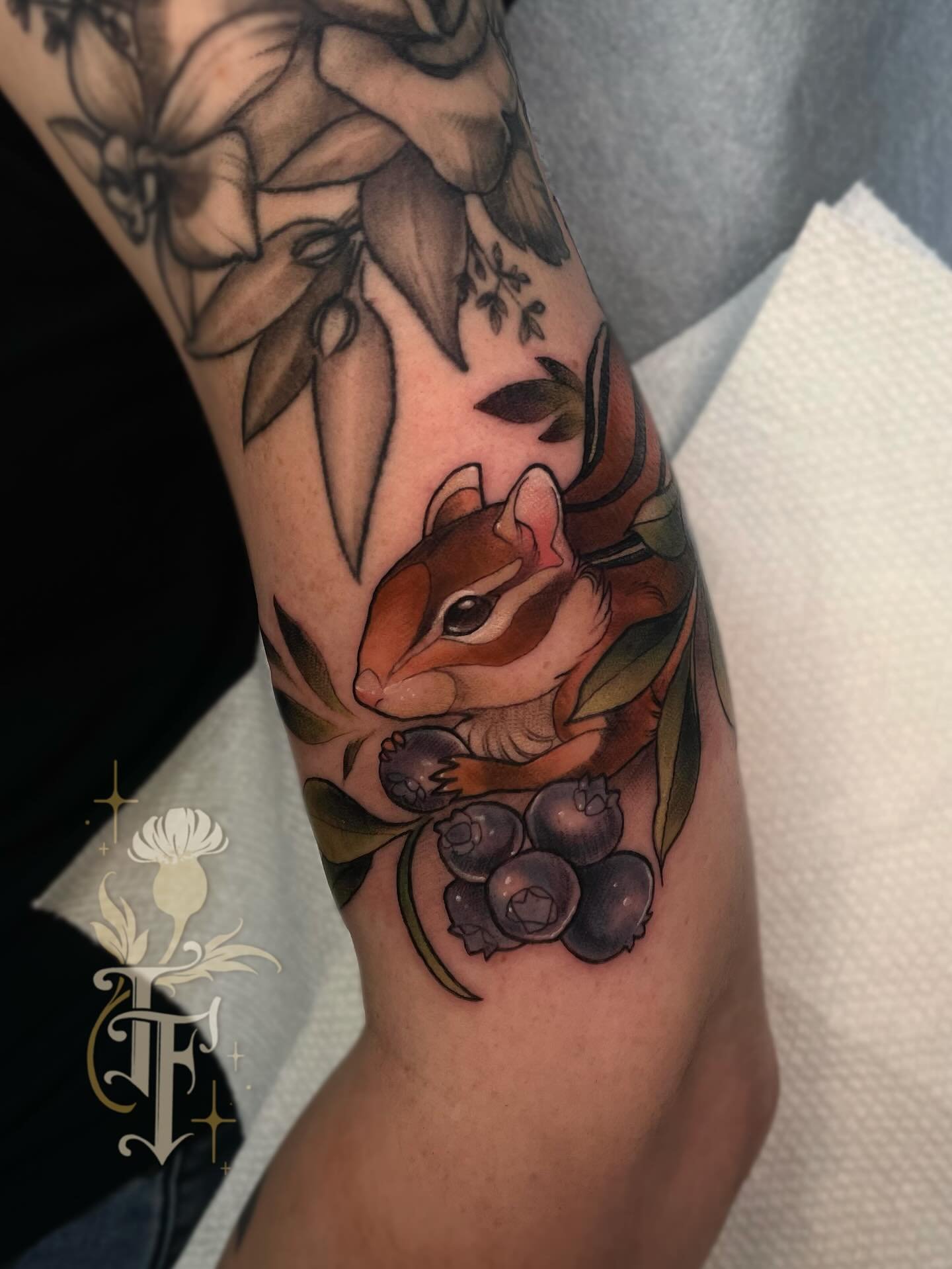 A little chipmunk for Caitlin🫐🐿️ had so much fun with this project. Thanks for looking ✨
&bull;
&bull;
&bull;
#ohioartist #ohiotattooartist #neotraditional #illustrativetattoo #neoromantic #neotraditionaltattoo #neoromantictattoo  #artnouveautattoo