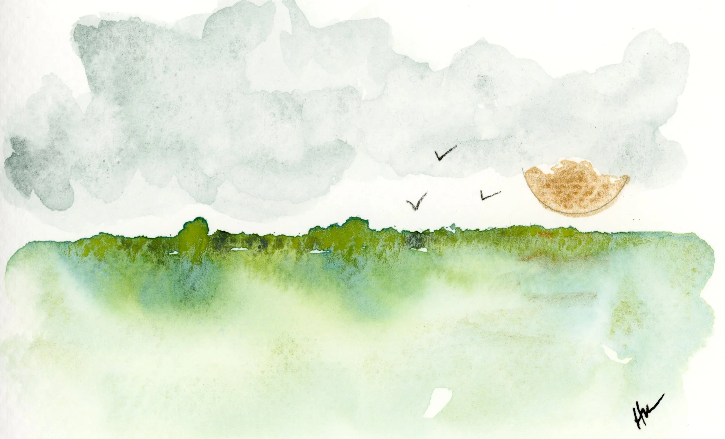 Landscapes II 2025.jpg