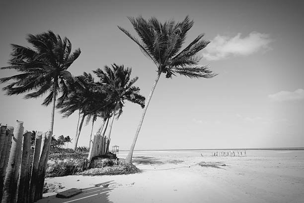 Heat Is My Home: Notes from the Delta, Charleston, and the Caribbean
