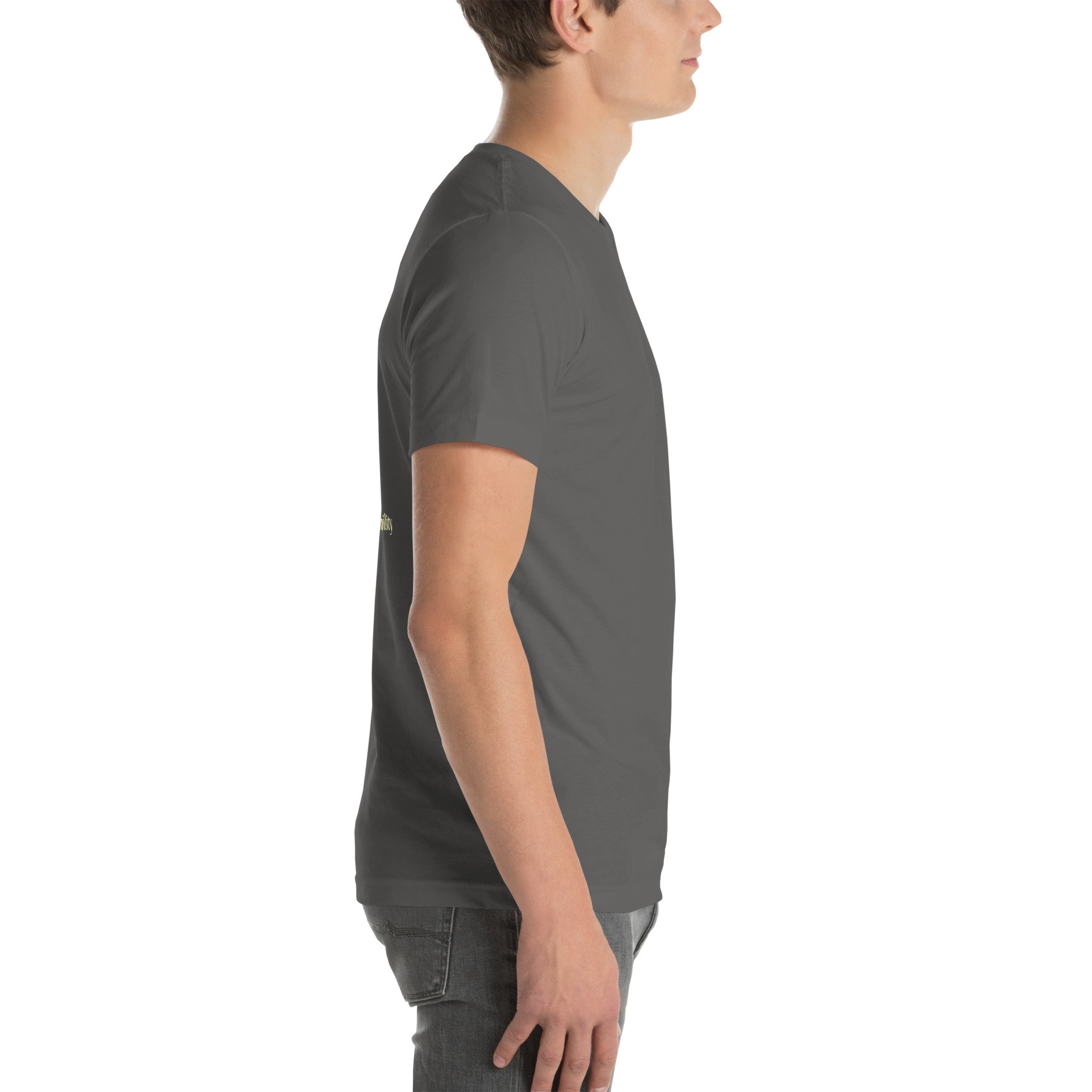 unisex-staple-t-shirt-asphalt-right-6878040551d35.jpg