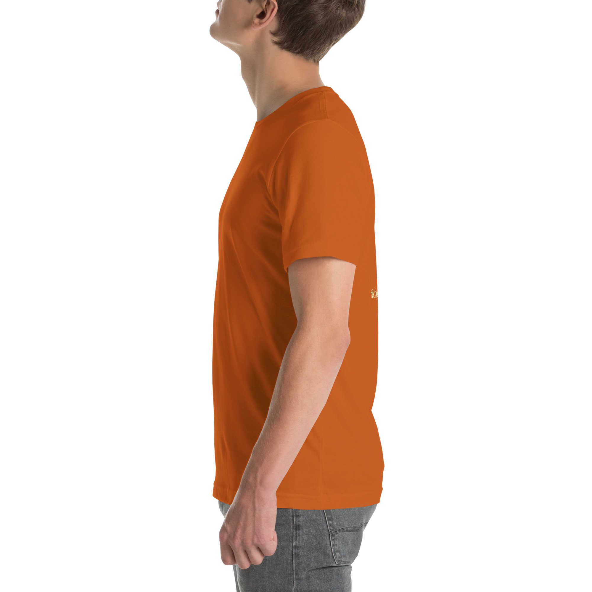 unisex-staple-t-shirt-autumn-left-687804072d91b.jpg