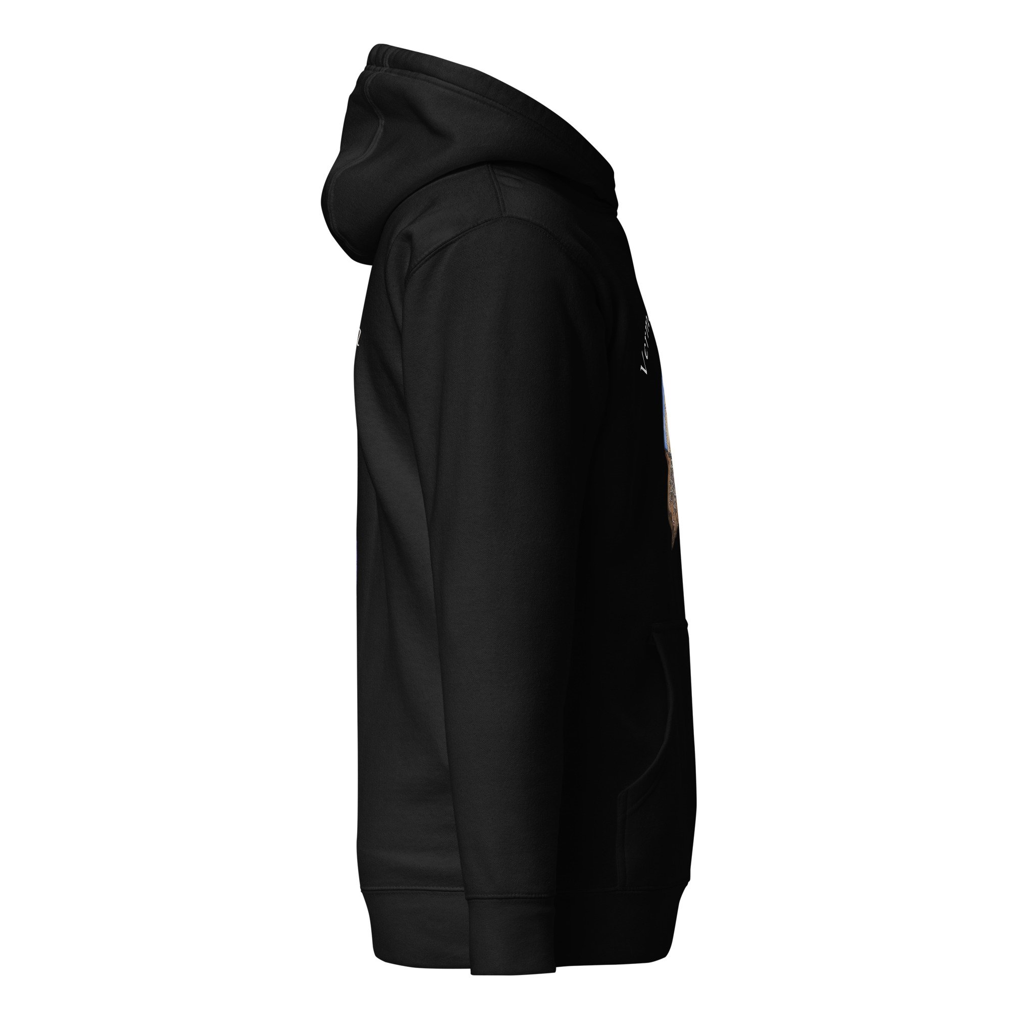unisex-premium-hoodie-black-right-68780790bef11.jpg